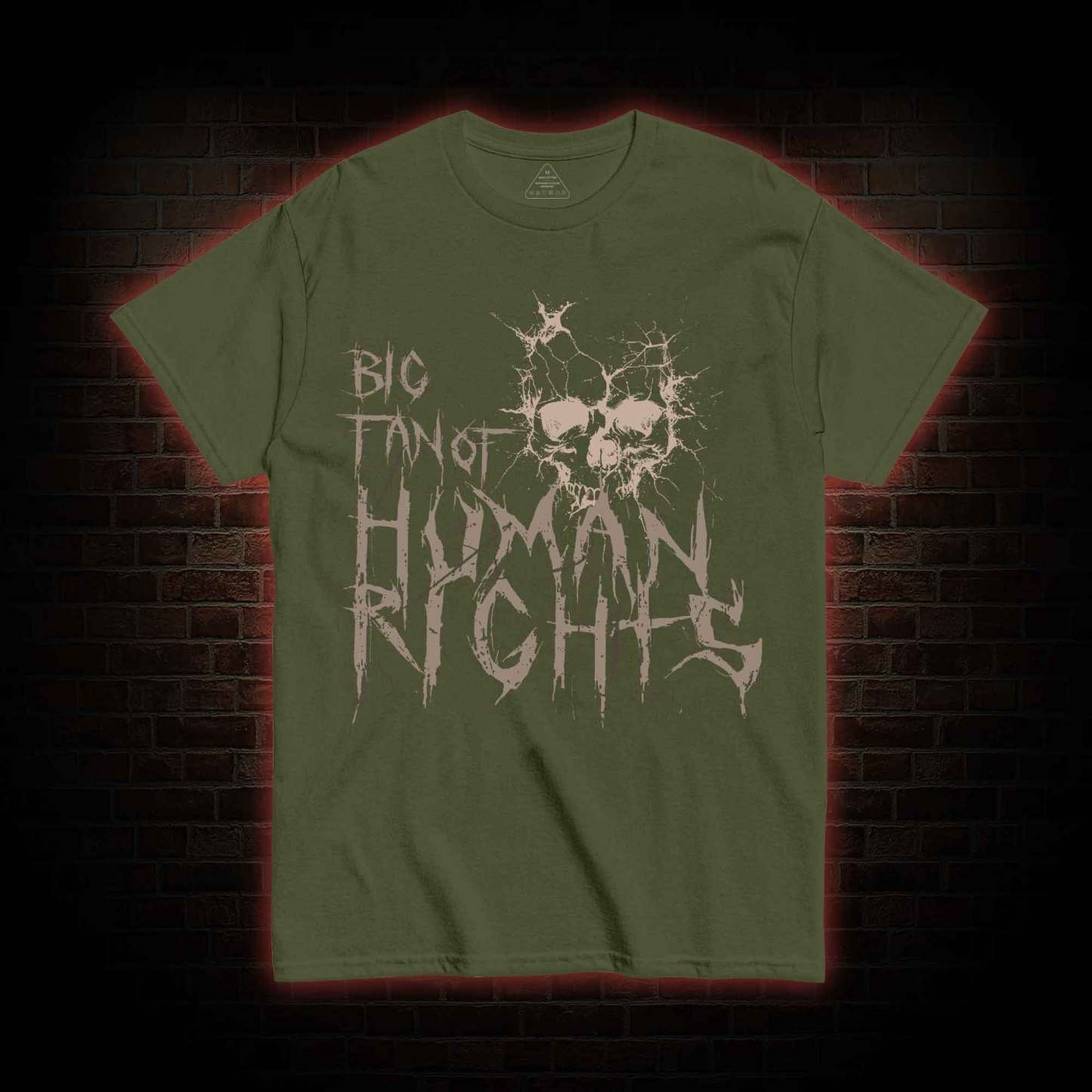Big Fan of Human Rights T-shirt