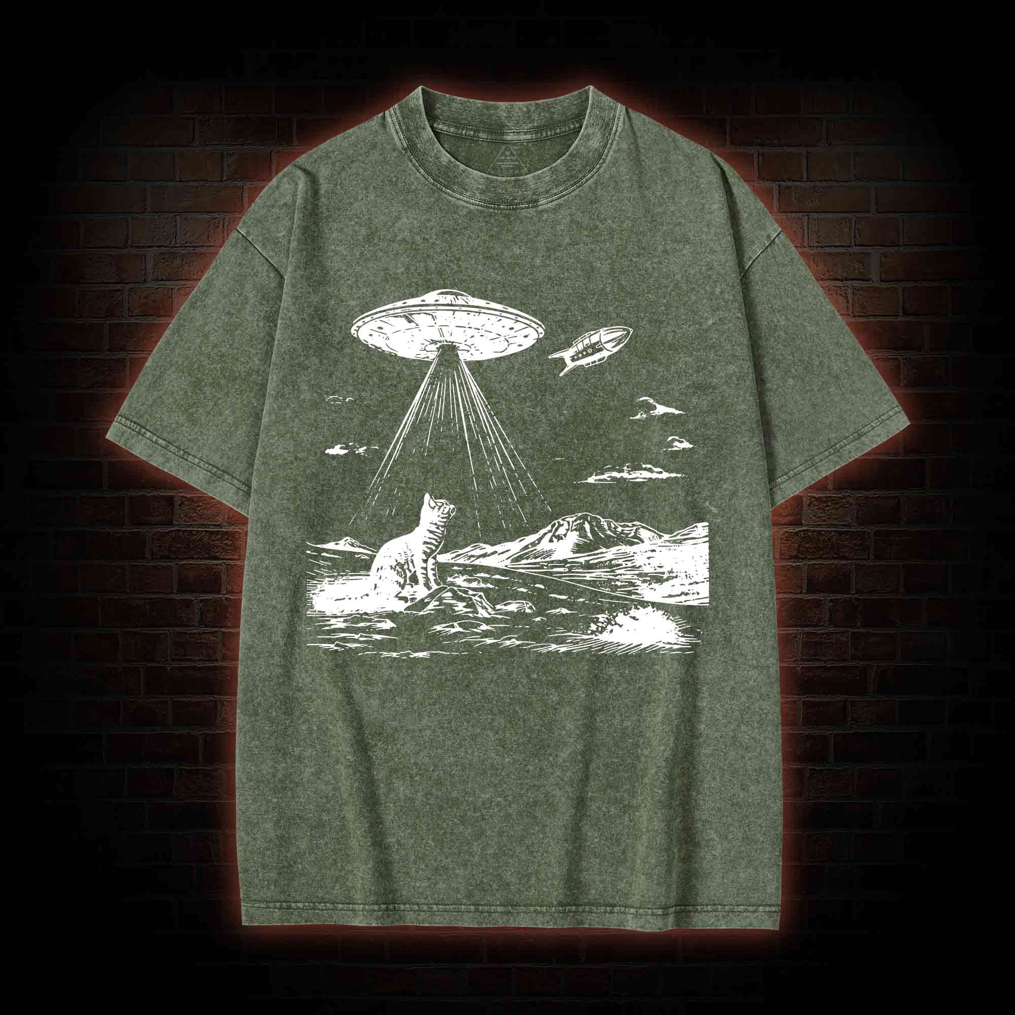 Ufo Cat Washed T-shirt