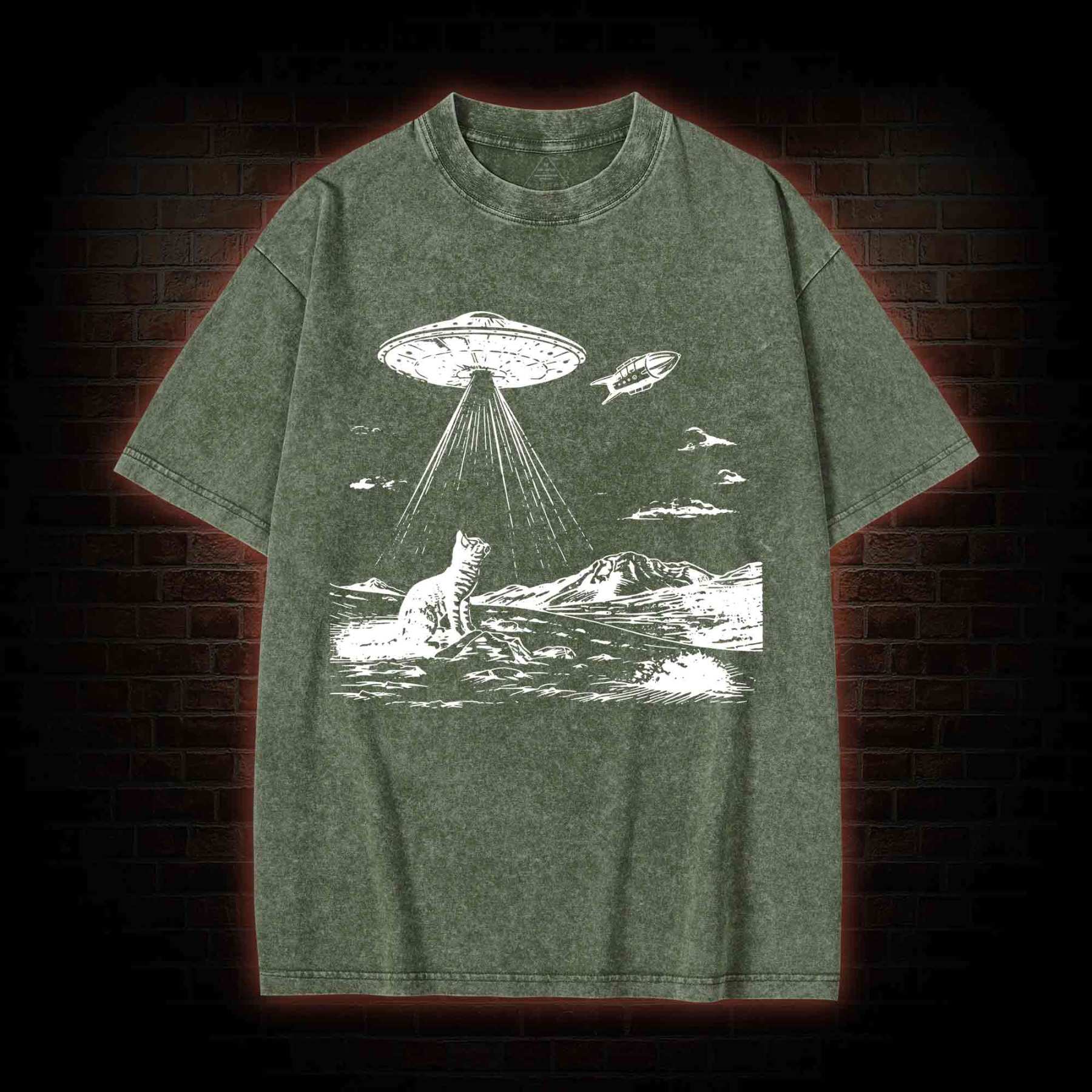 Ufo Cat Washed T-shirt