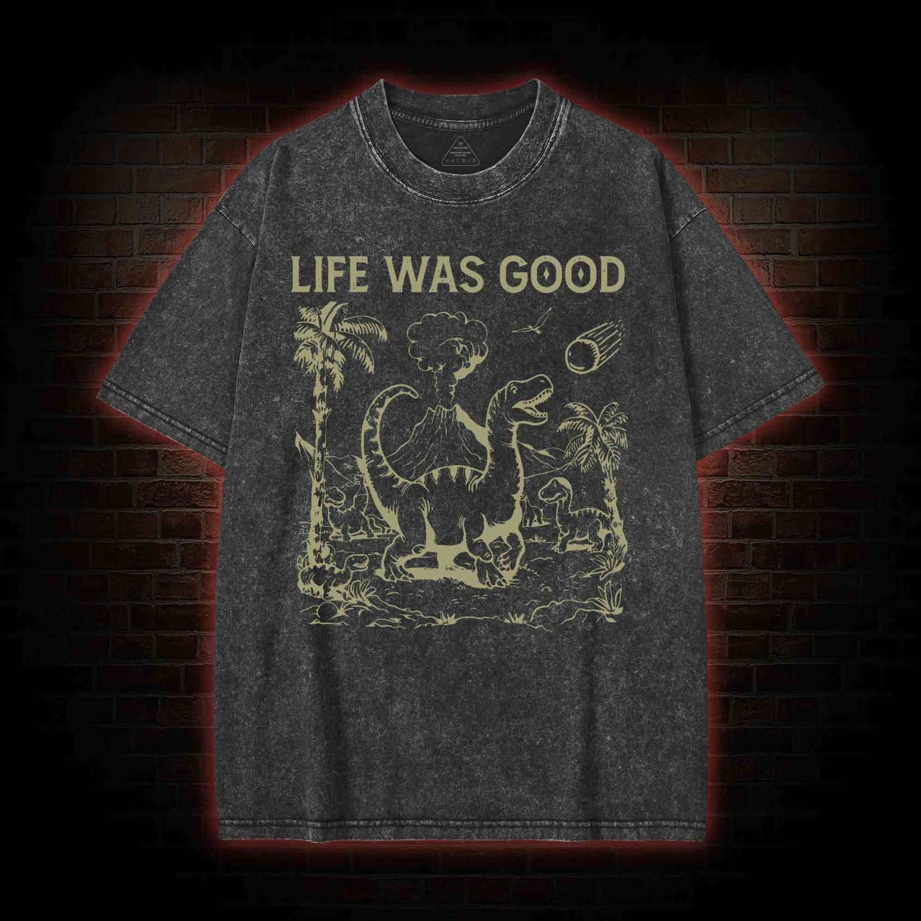 Life Was Good Washed T-shirt