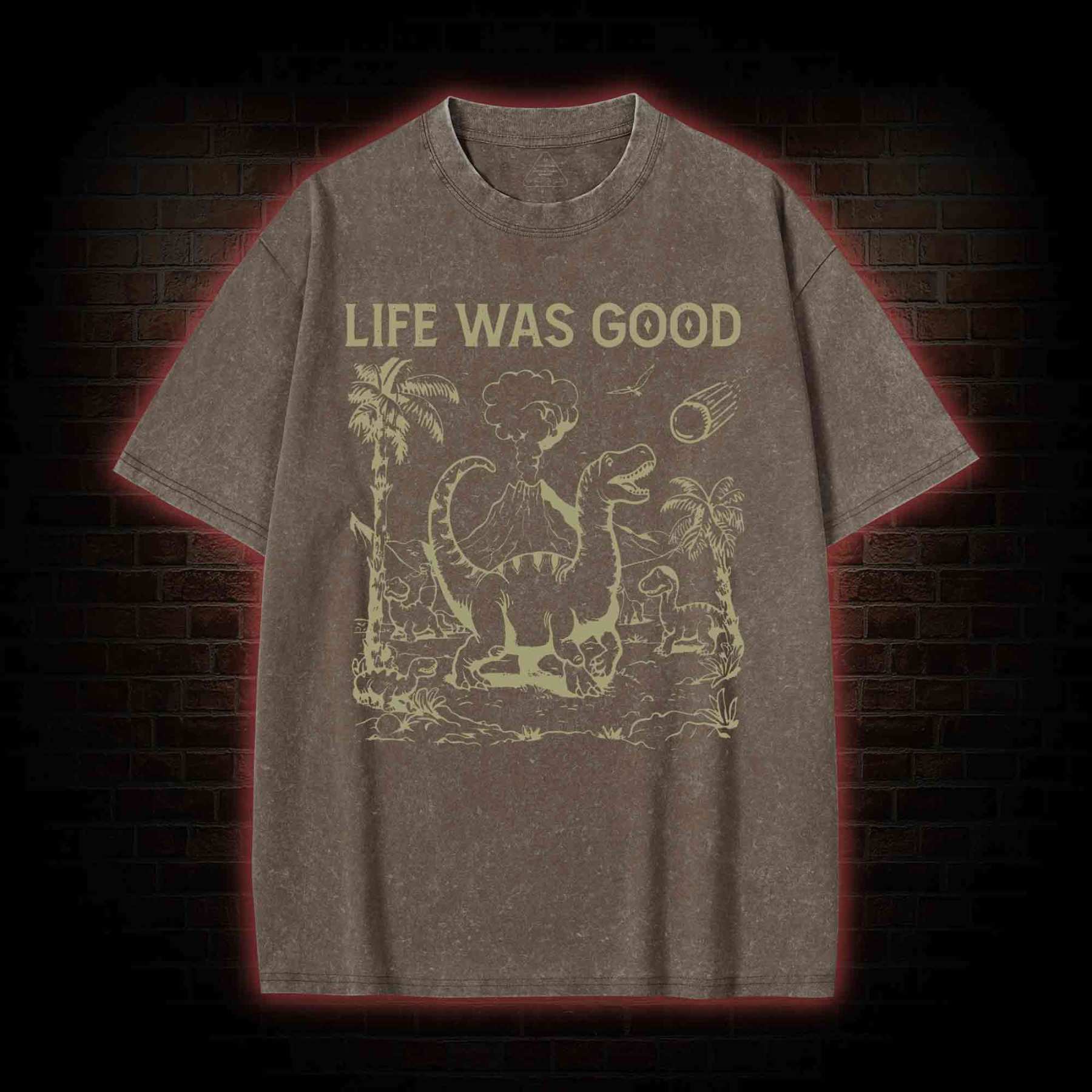 Life Was Good Washed T-shirt