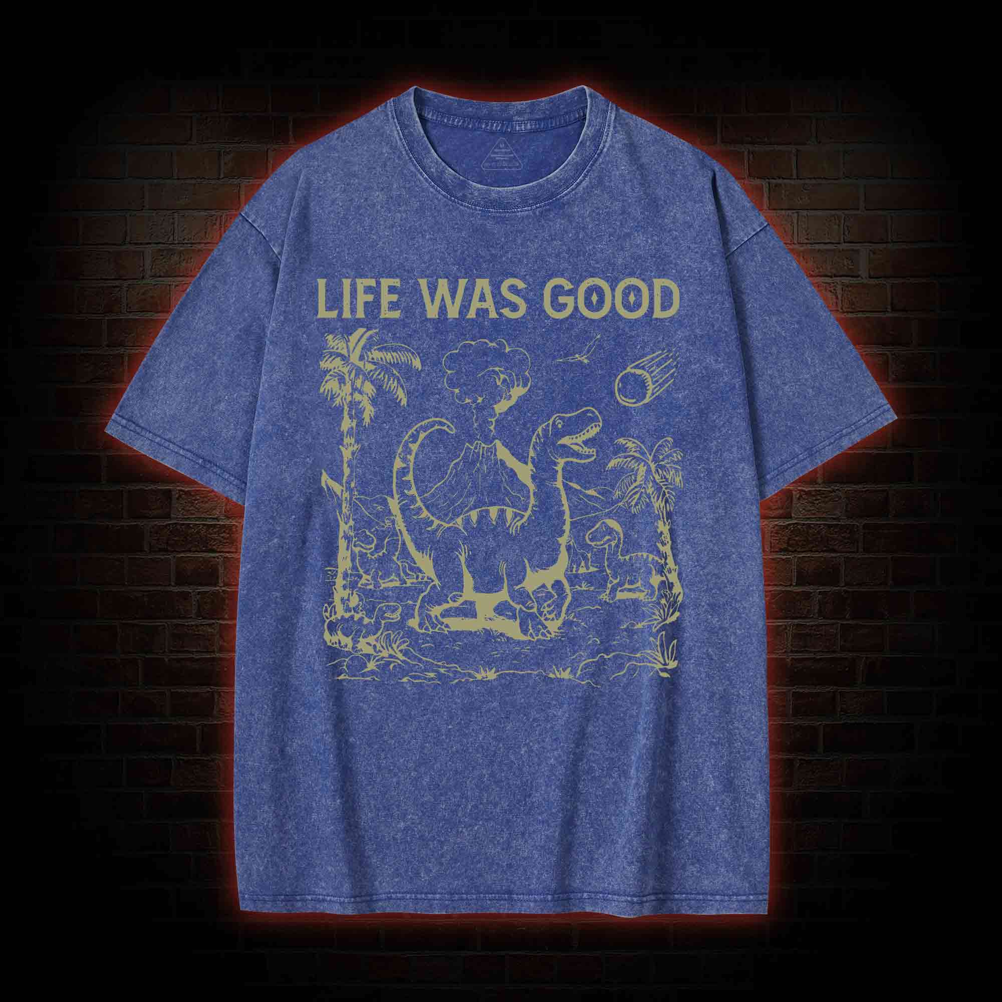 Life Was Good Washed T-shirt