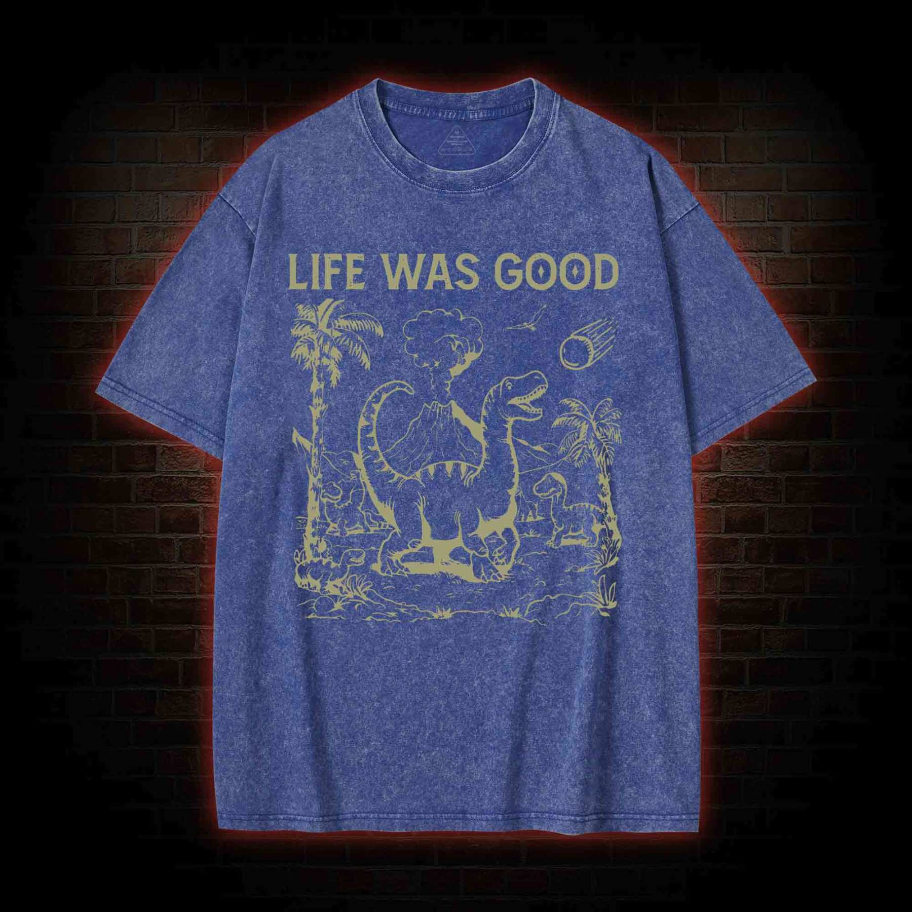 Life Was Good Washed T-shirt
