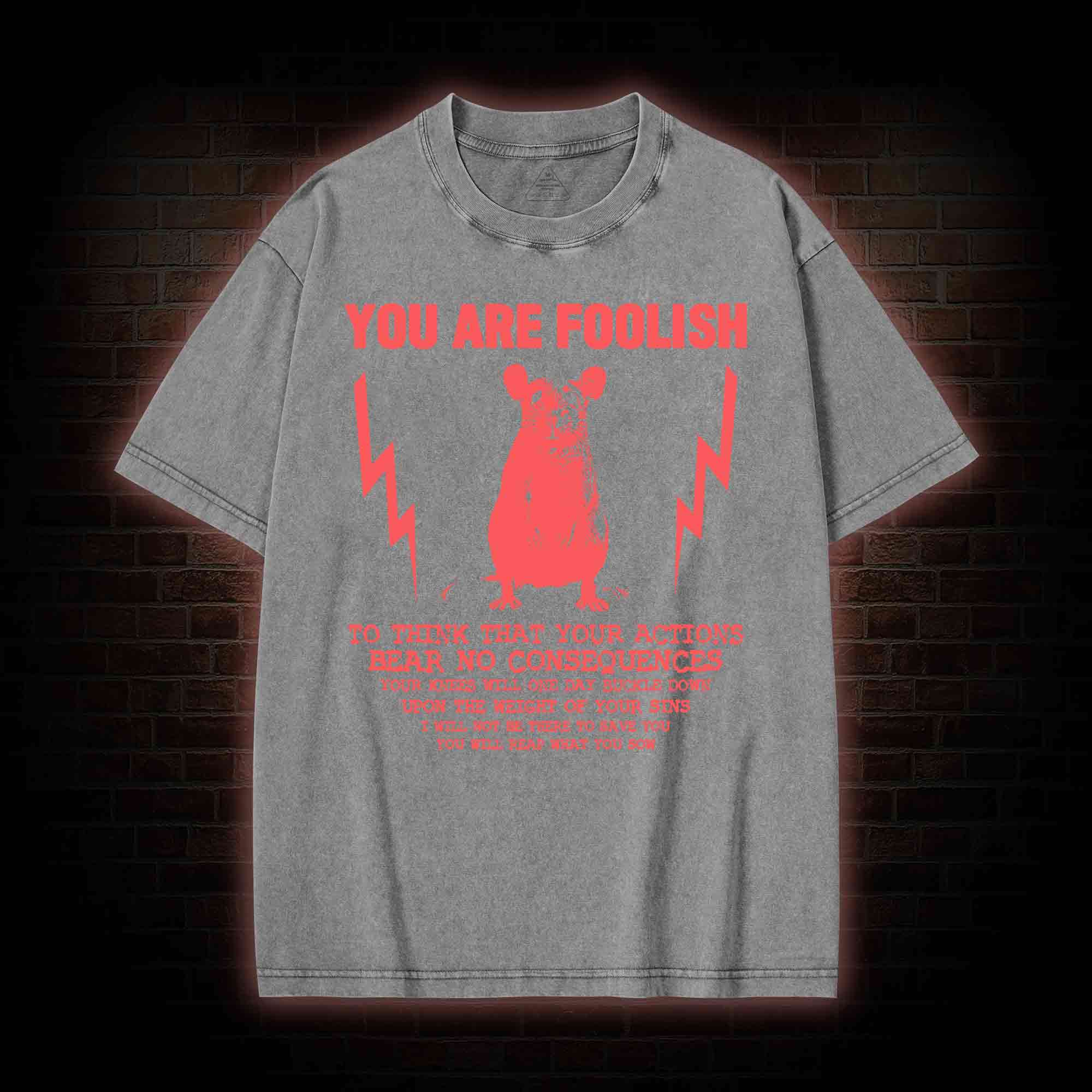 You Are Foolish Washed T-shirt