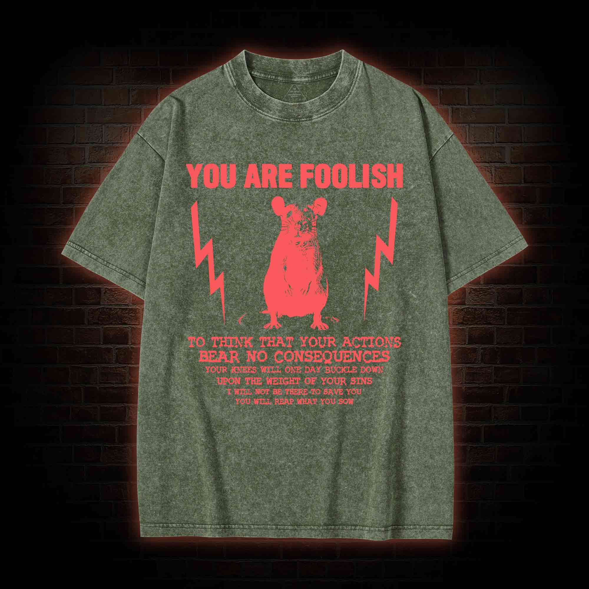 You Are Foolish Washed T-shirt