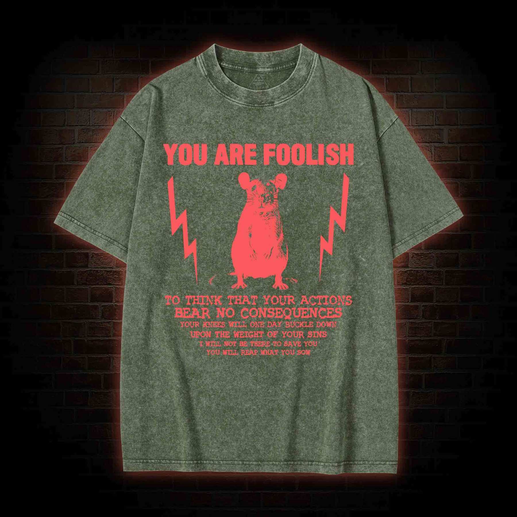 You Are Foolish Washed T-shirt