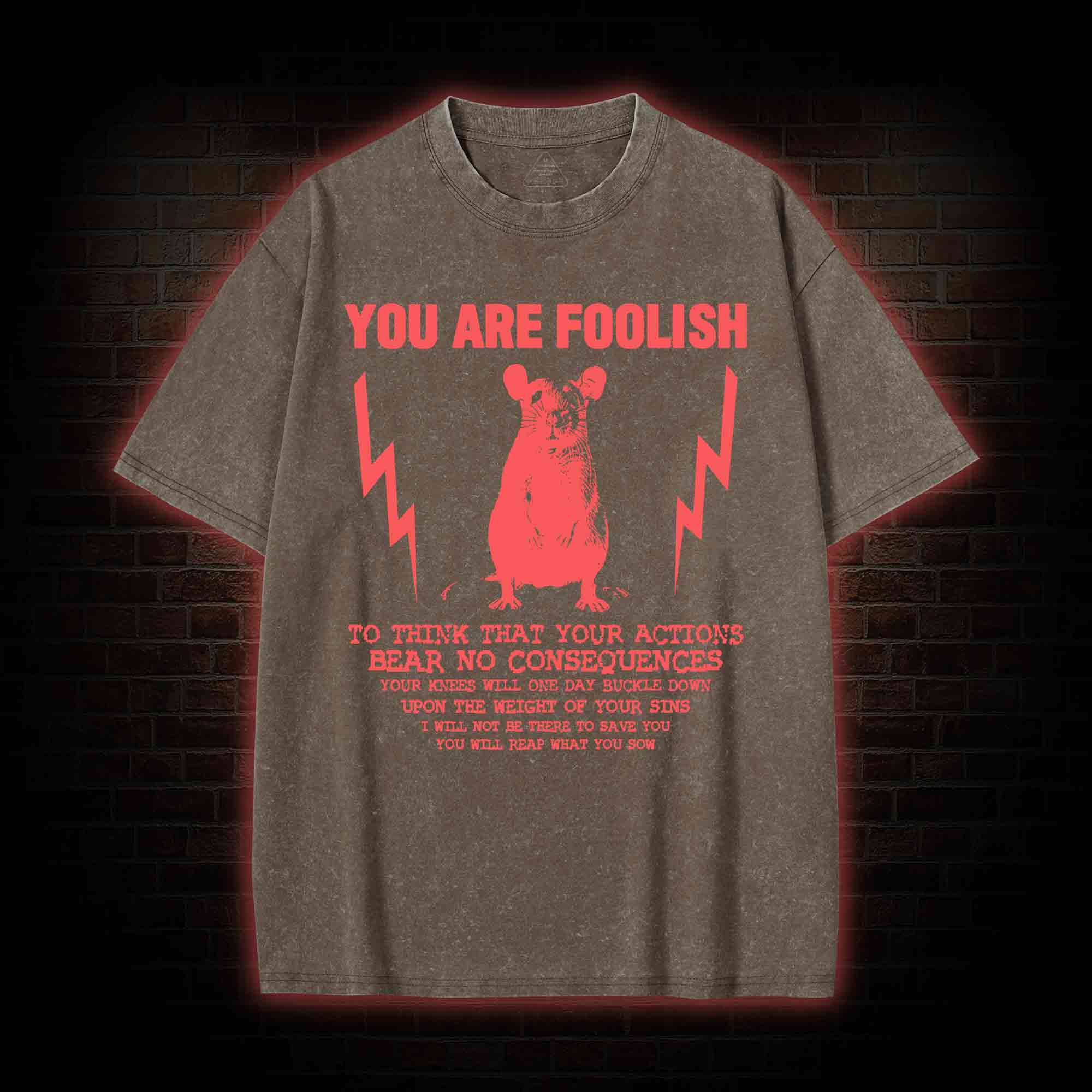 You Are Foolish Washed T-shirt
