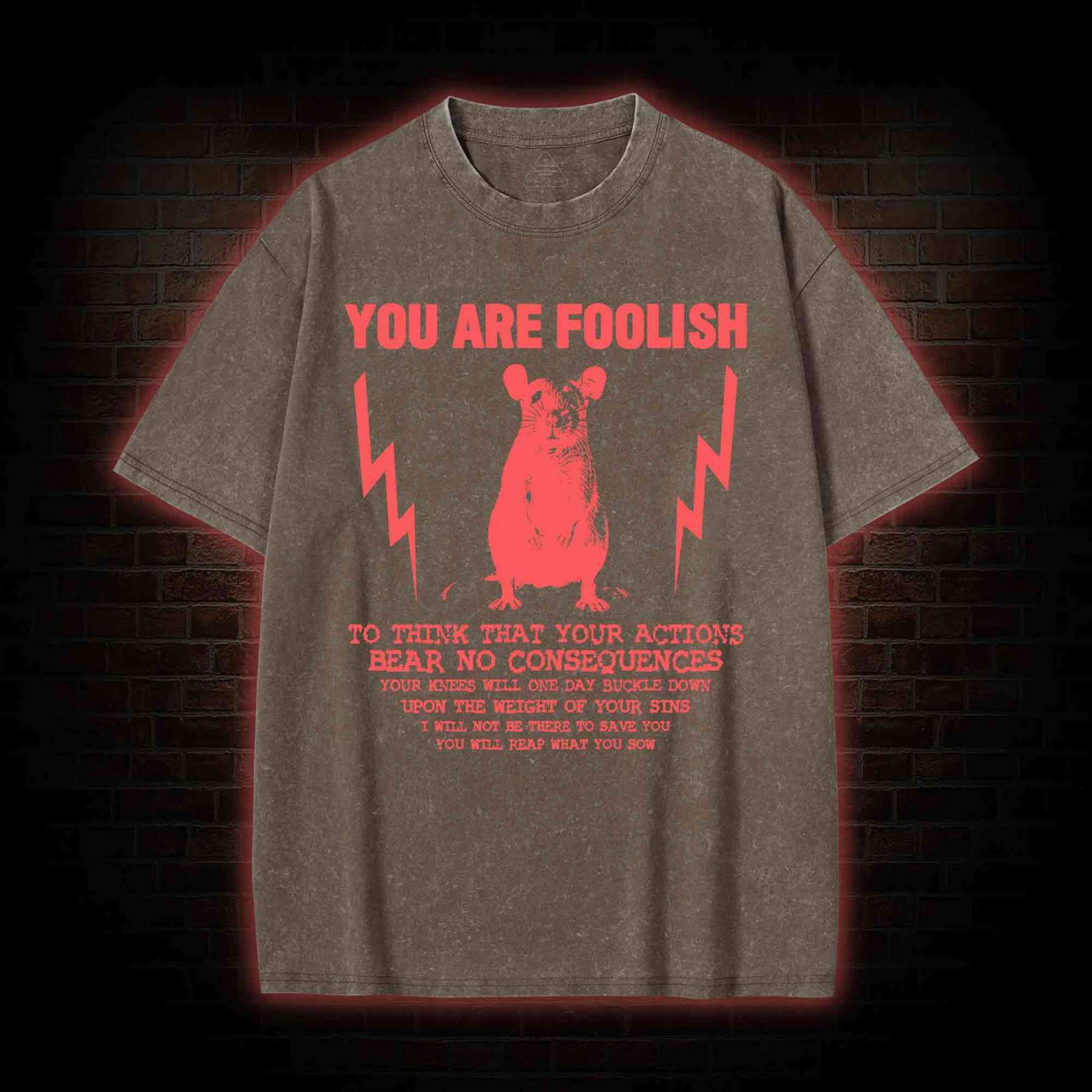 You Are Foolish Washed T-shirt