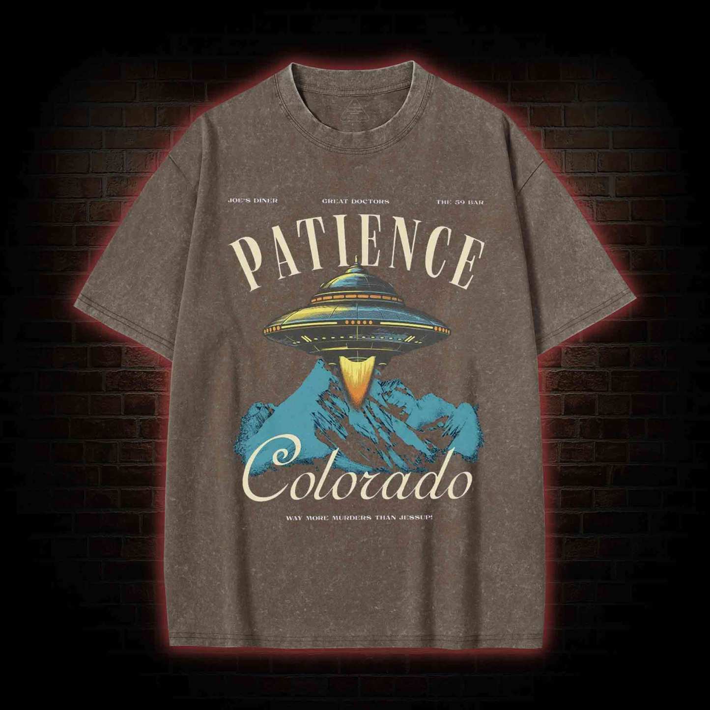 5617 Patience Colorado Washed T-shirt