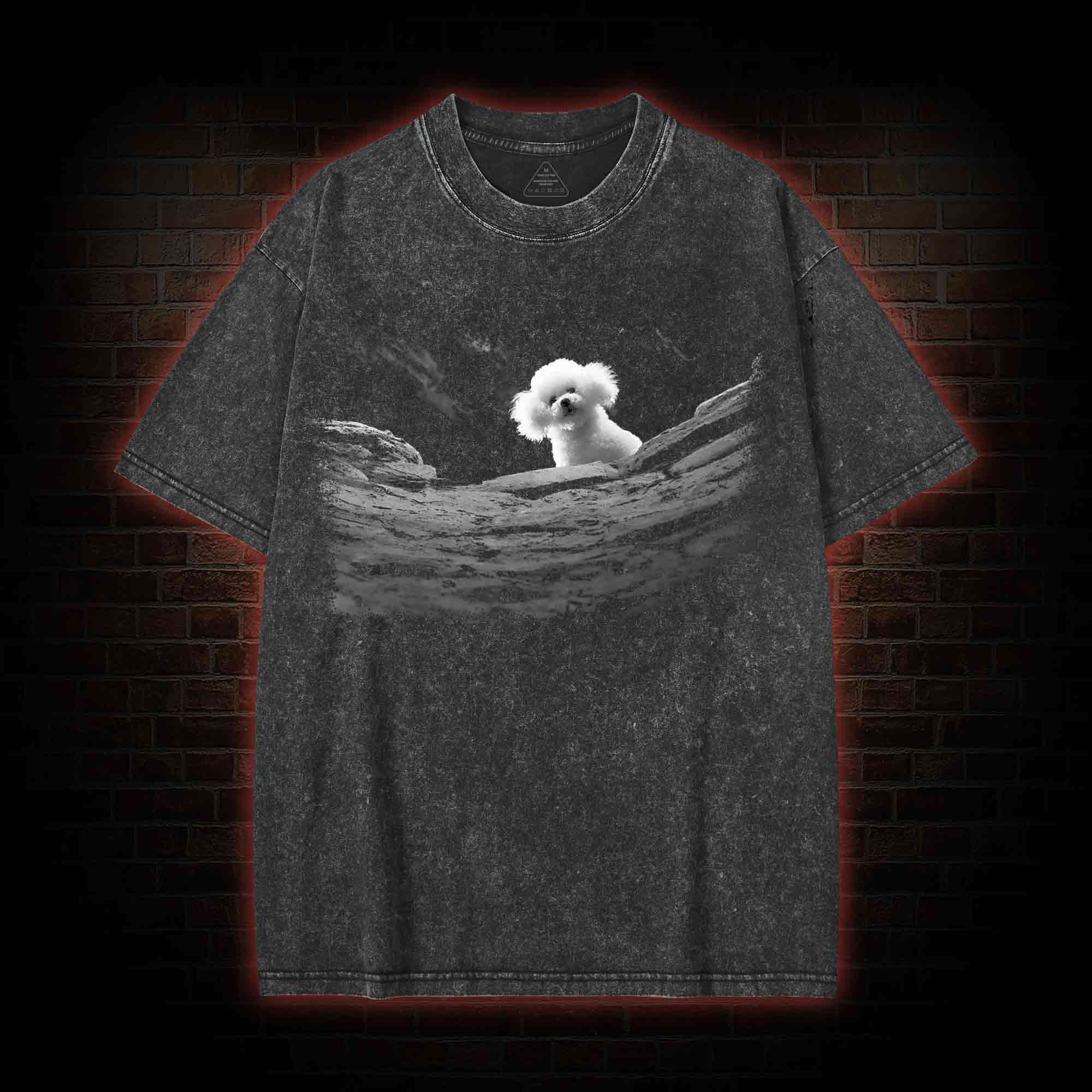 5618 Precious Dog Washed T-shirt
