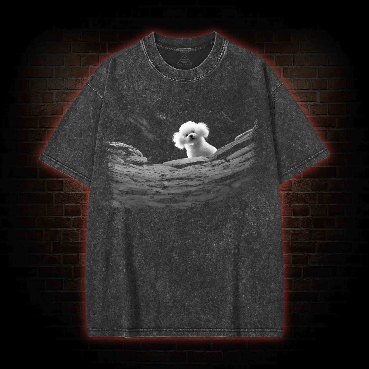 5618 Precious Dog Washed T-shirt