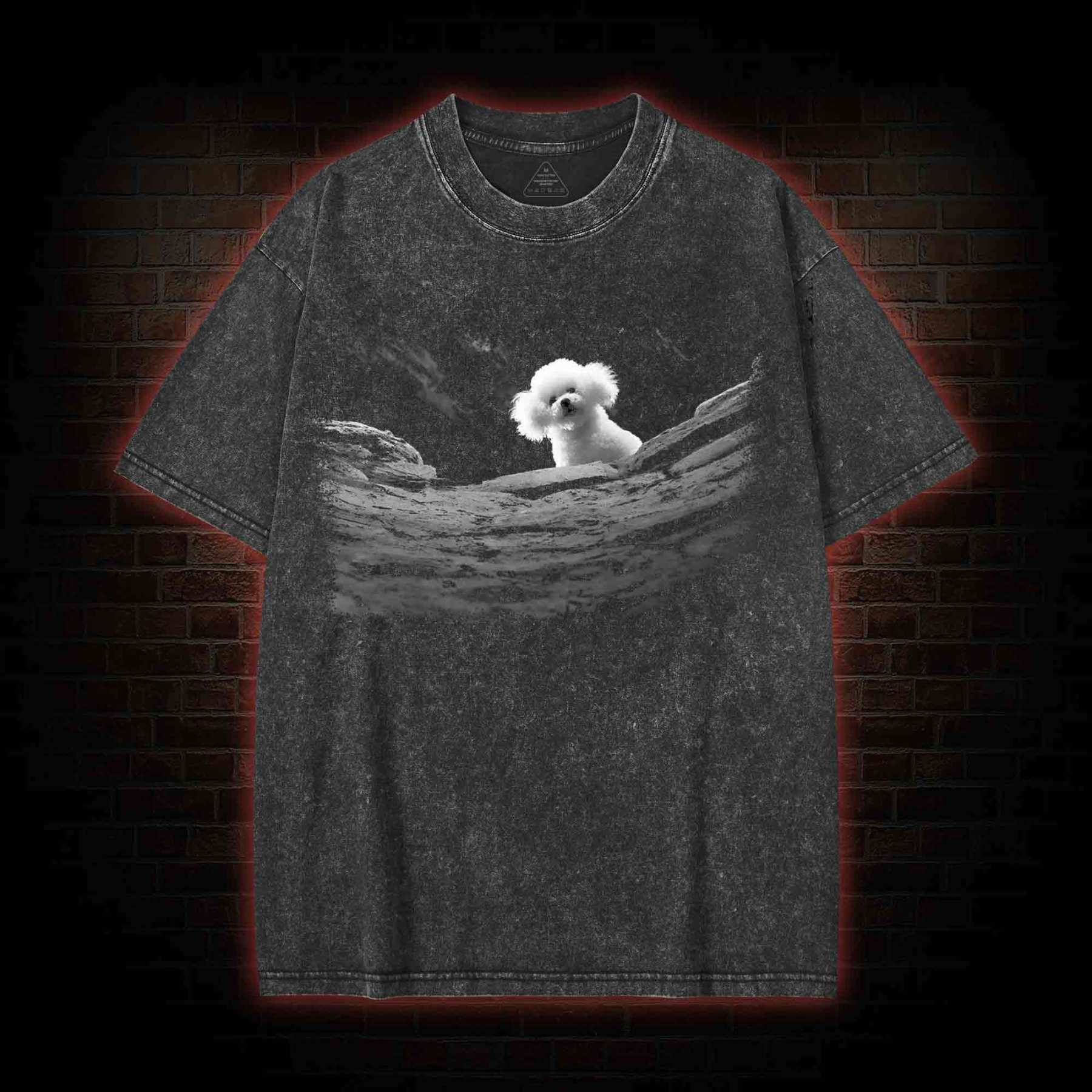 5618 Precious Dog Washed T-shirt