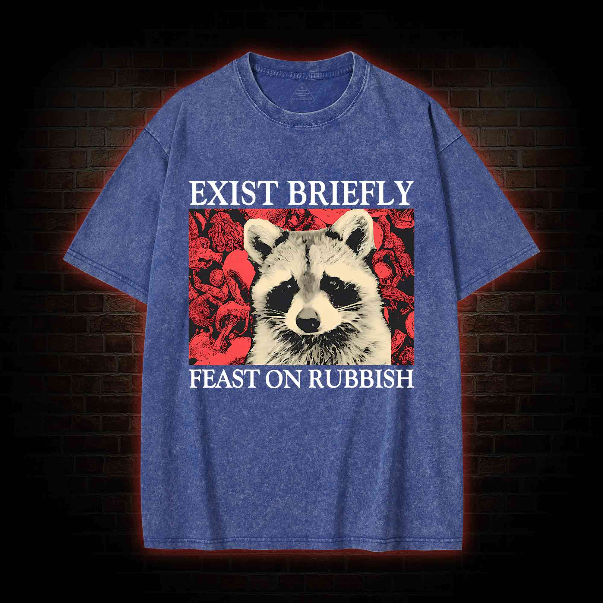 Exist Briefly Feast On Rubbish Washed T-shirt