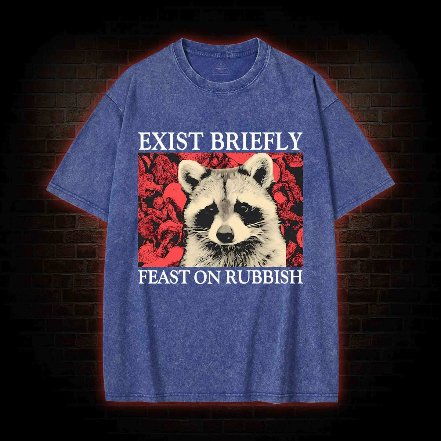 Exist Briefly Feast On Rubbish Washed T-shirt