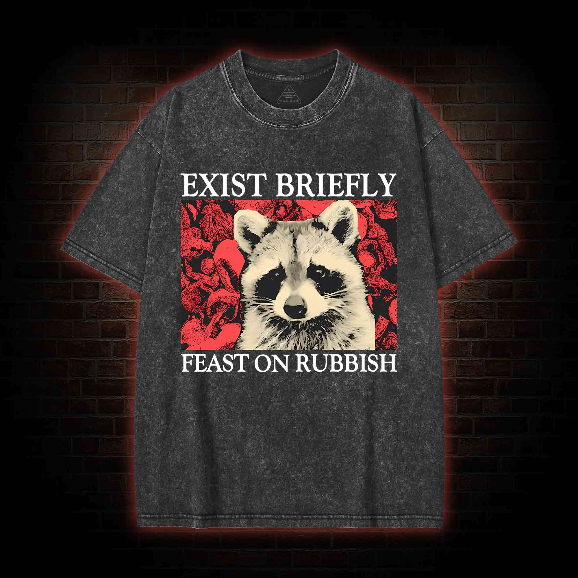 Exist Briefly Feast On Rubbish Washed T-shirt