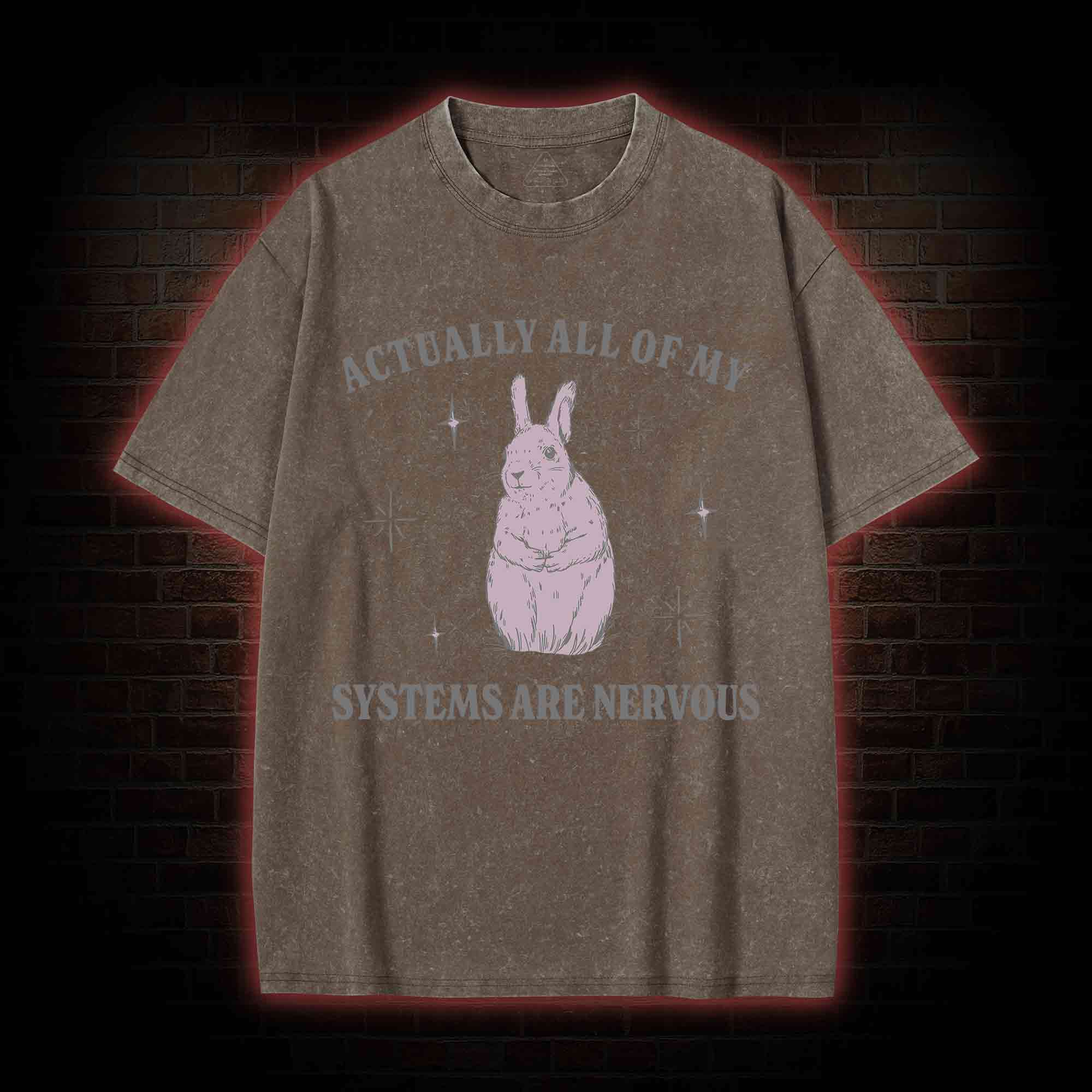All Of My System Are Nervous Washed T-shirt