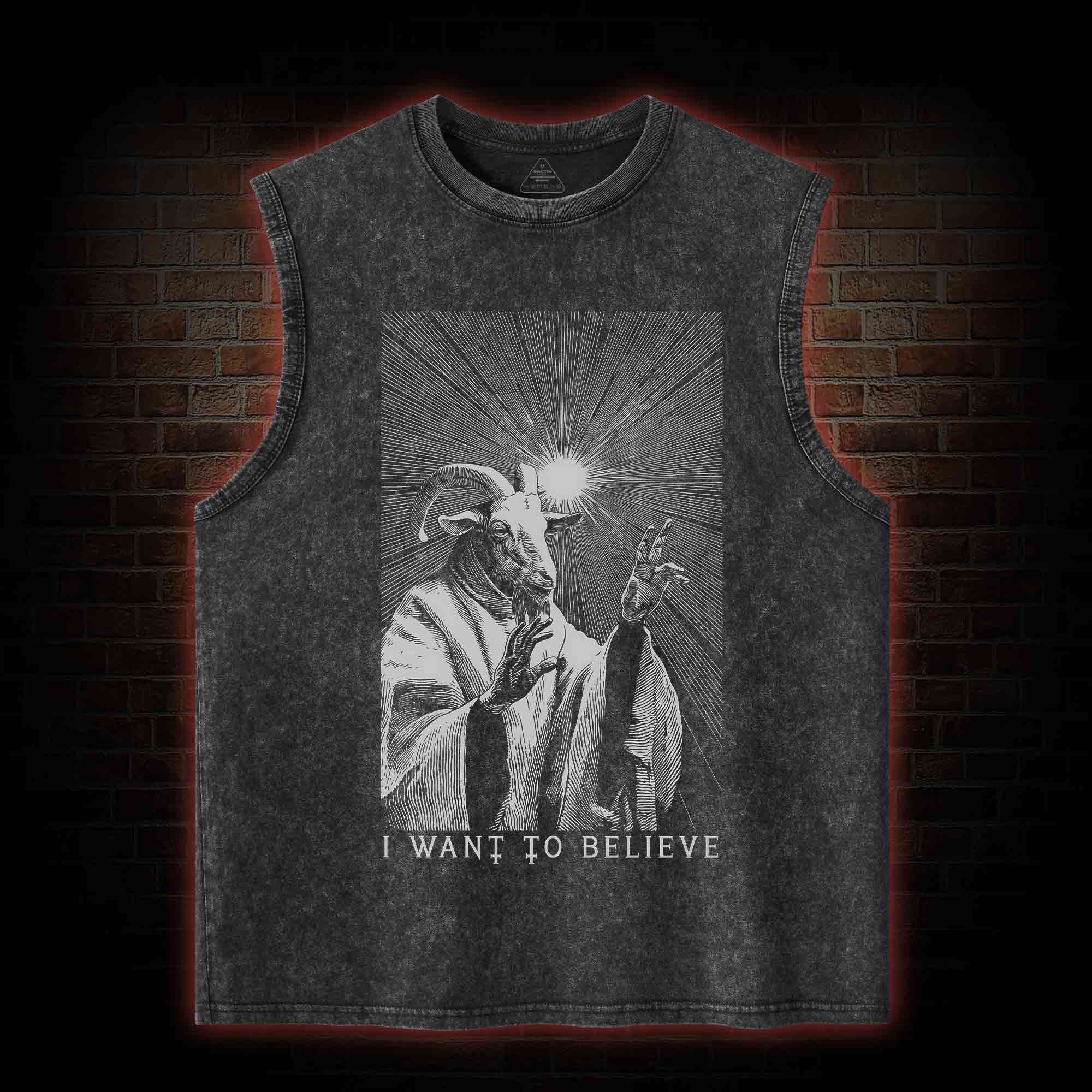 I Want to Believe Goat Washed Tank Top