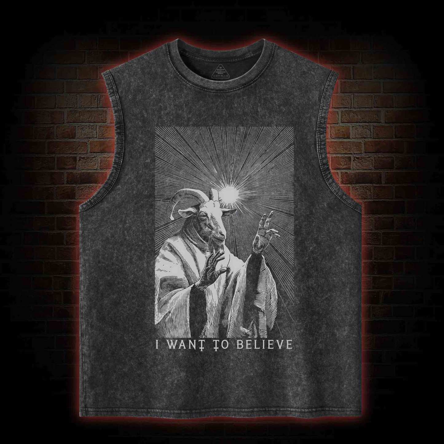 I Want to Believe Goat Washed Tank Top