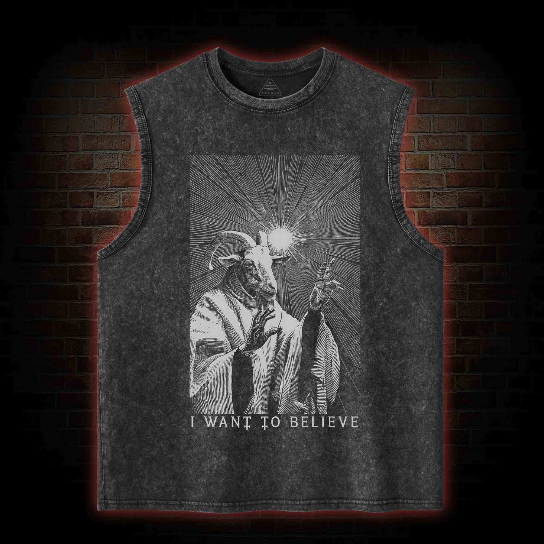 I Want to Believe Goat Washed Tank Top