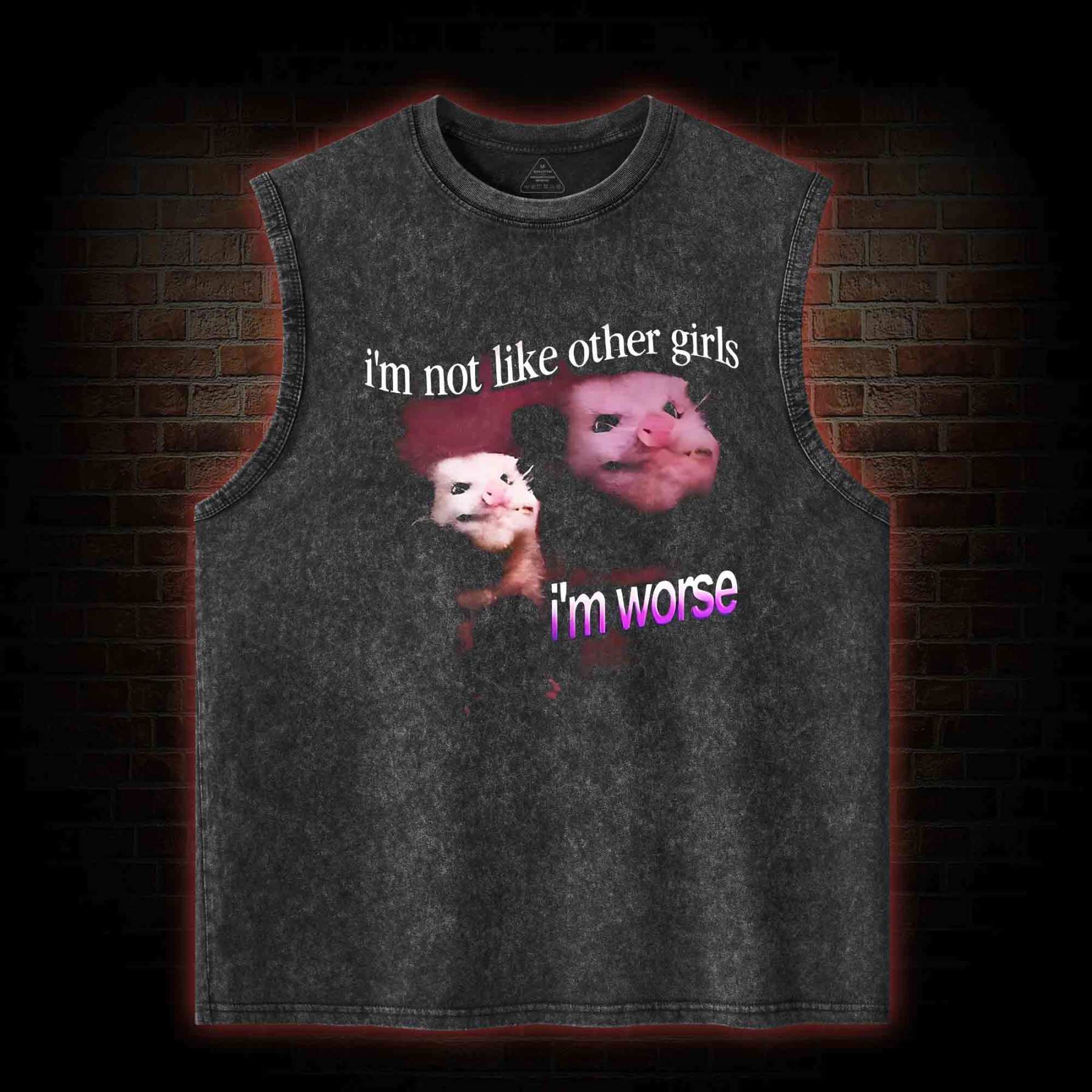 I'm Not Like Other Girls I'm Worse Washed Tank Top