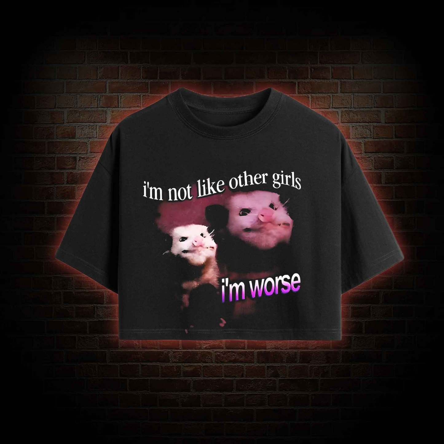 I'm Not Like Other Girls I'm Worse Crop Top