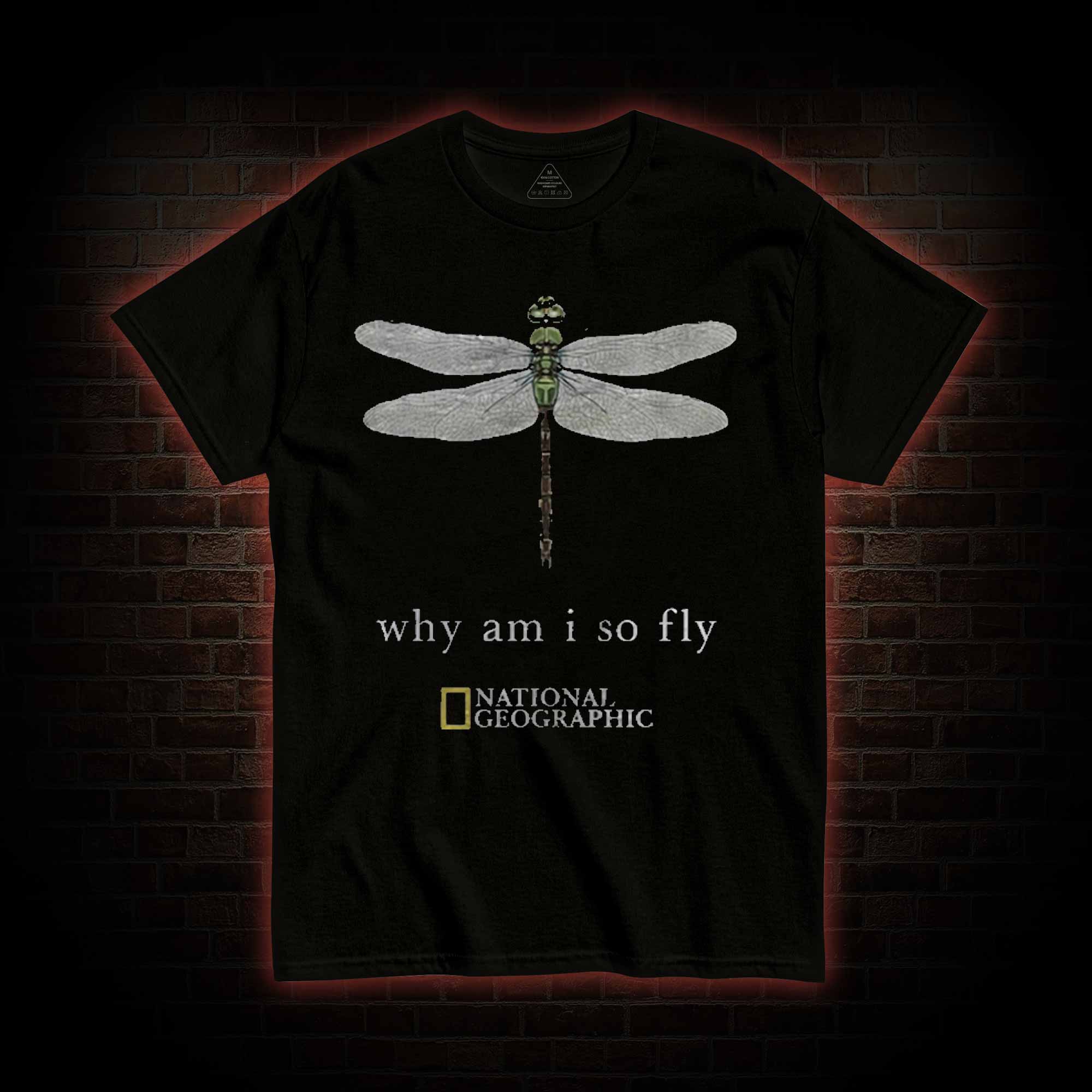 Why am I So Fly T-shirt