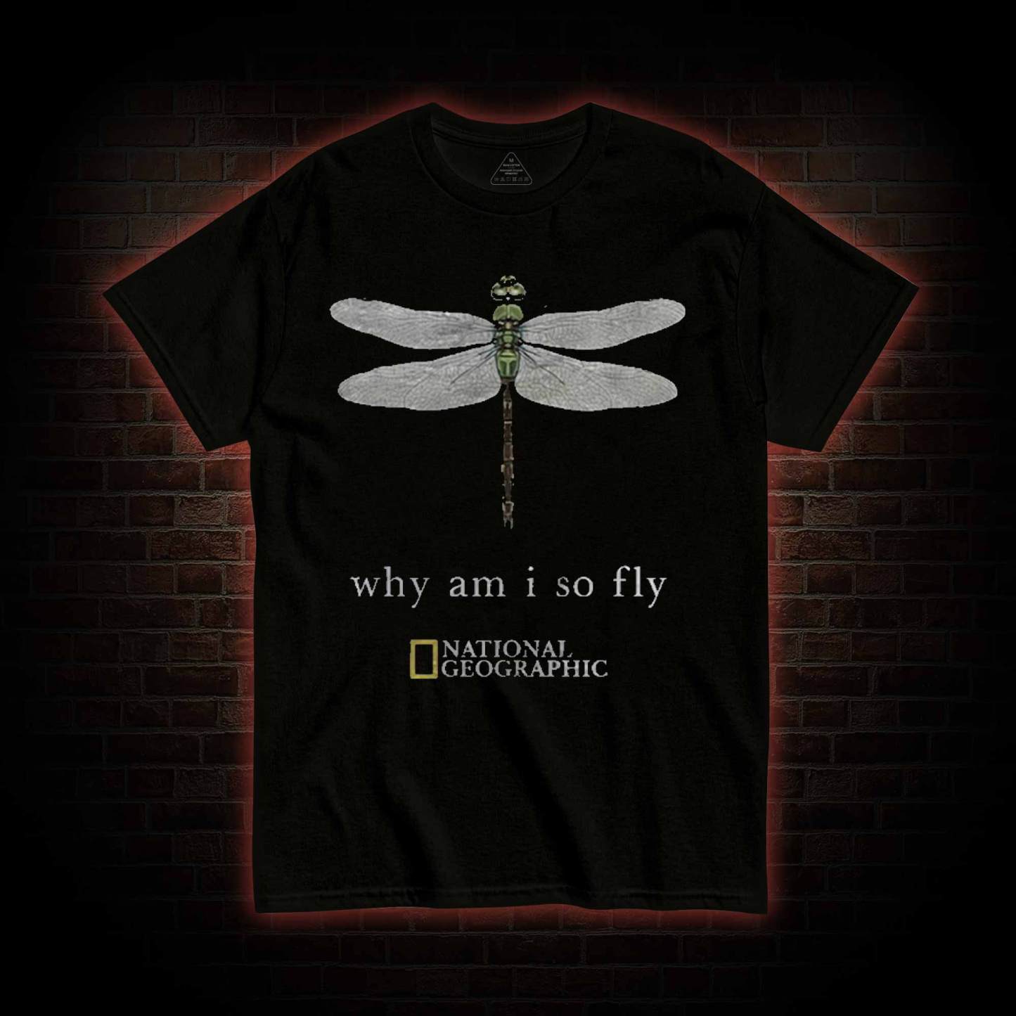Why am I So Fly T-shirt