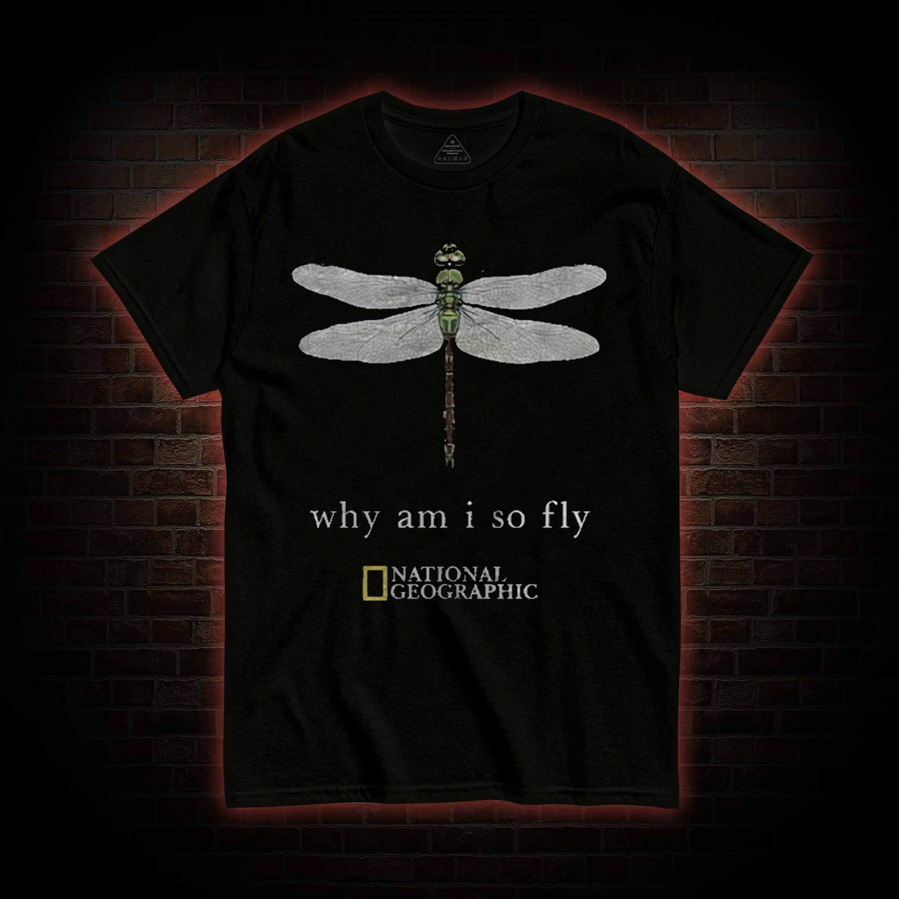 Why am I So Fly T-shirt