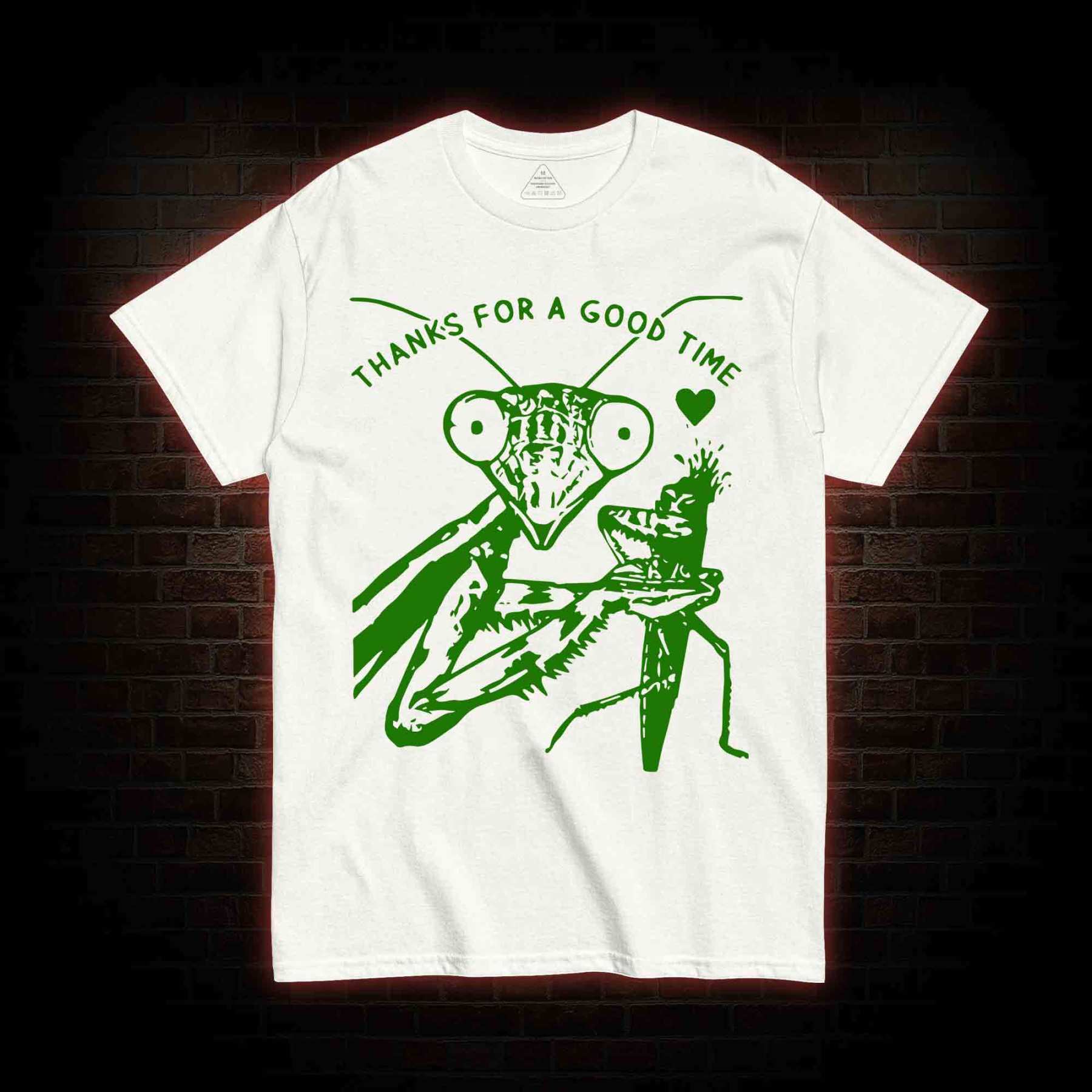 Thanks For A Good Time T-shirt