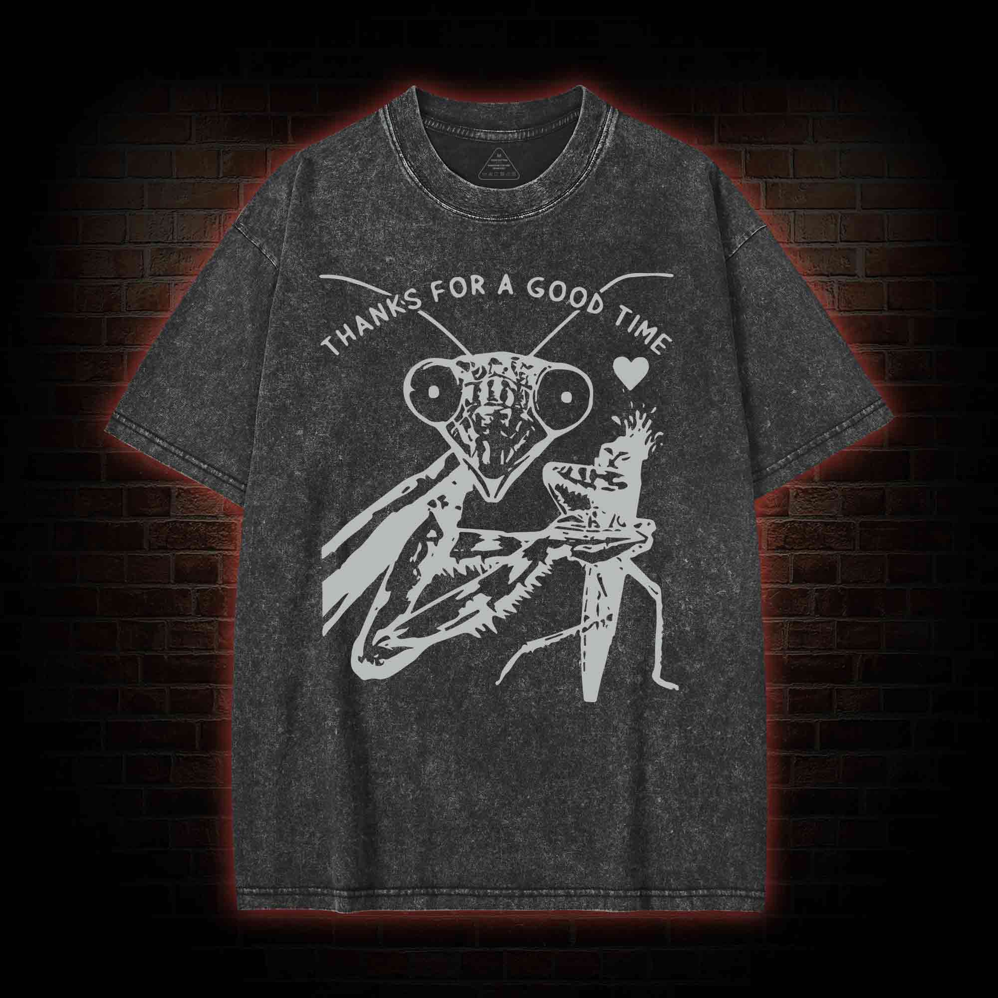 Thanks For A Good Time Washed T-shirt