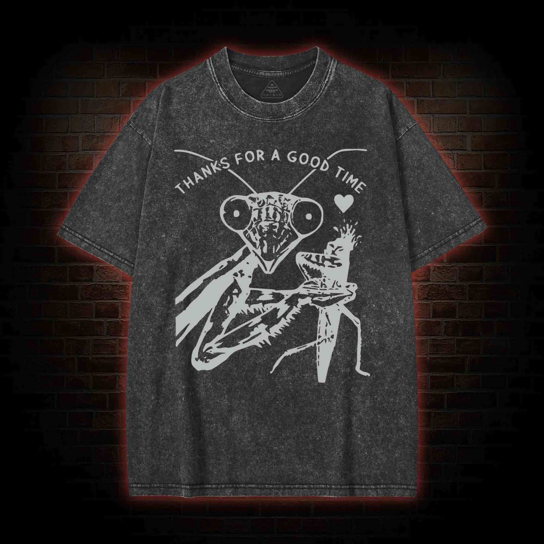 Thanks For A Good Time Washed T-shirt