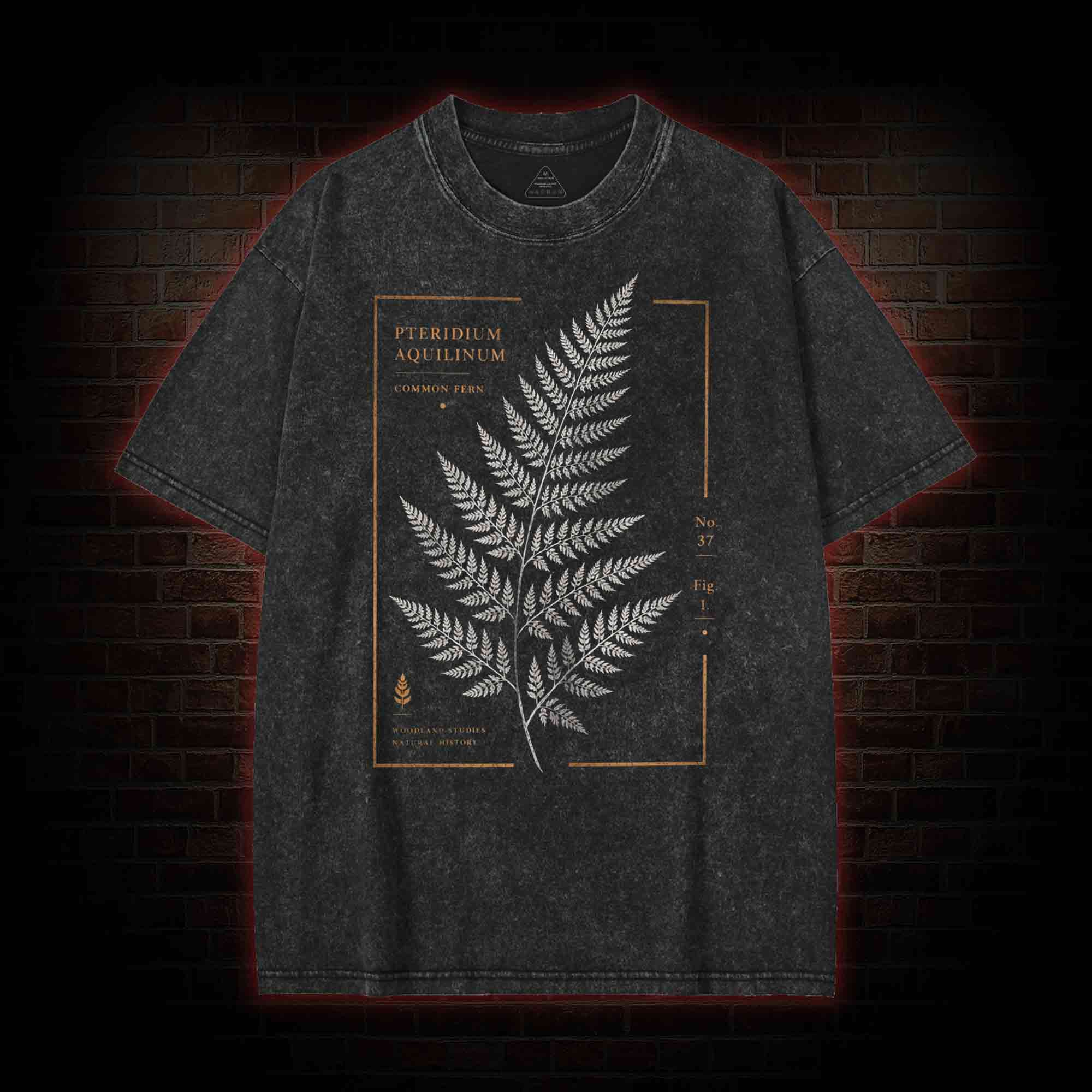 Common Fern Washed T-shirt