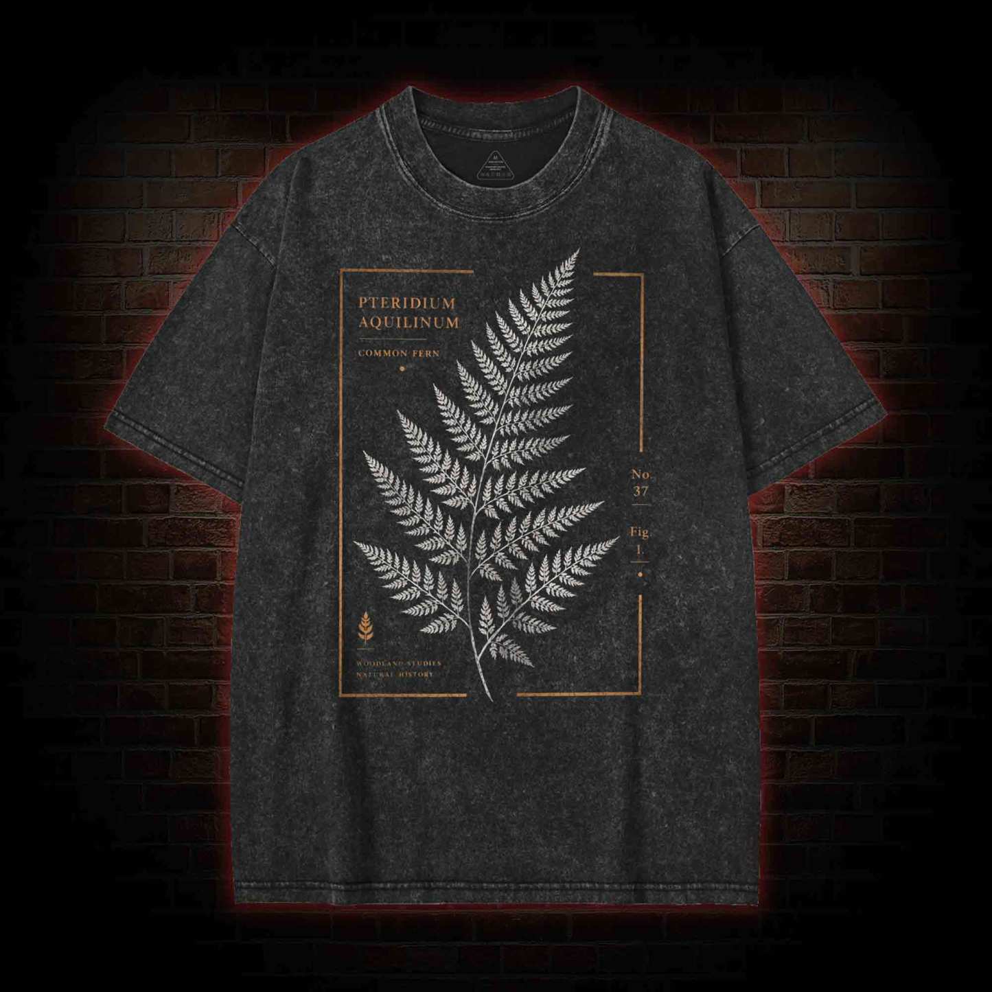 Common Fern Washed T-shirt