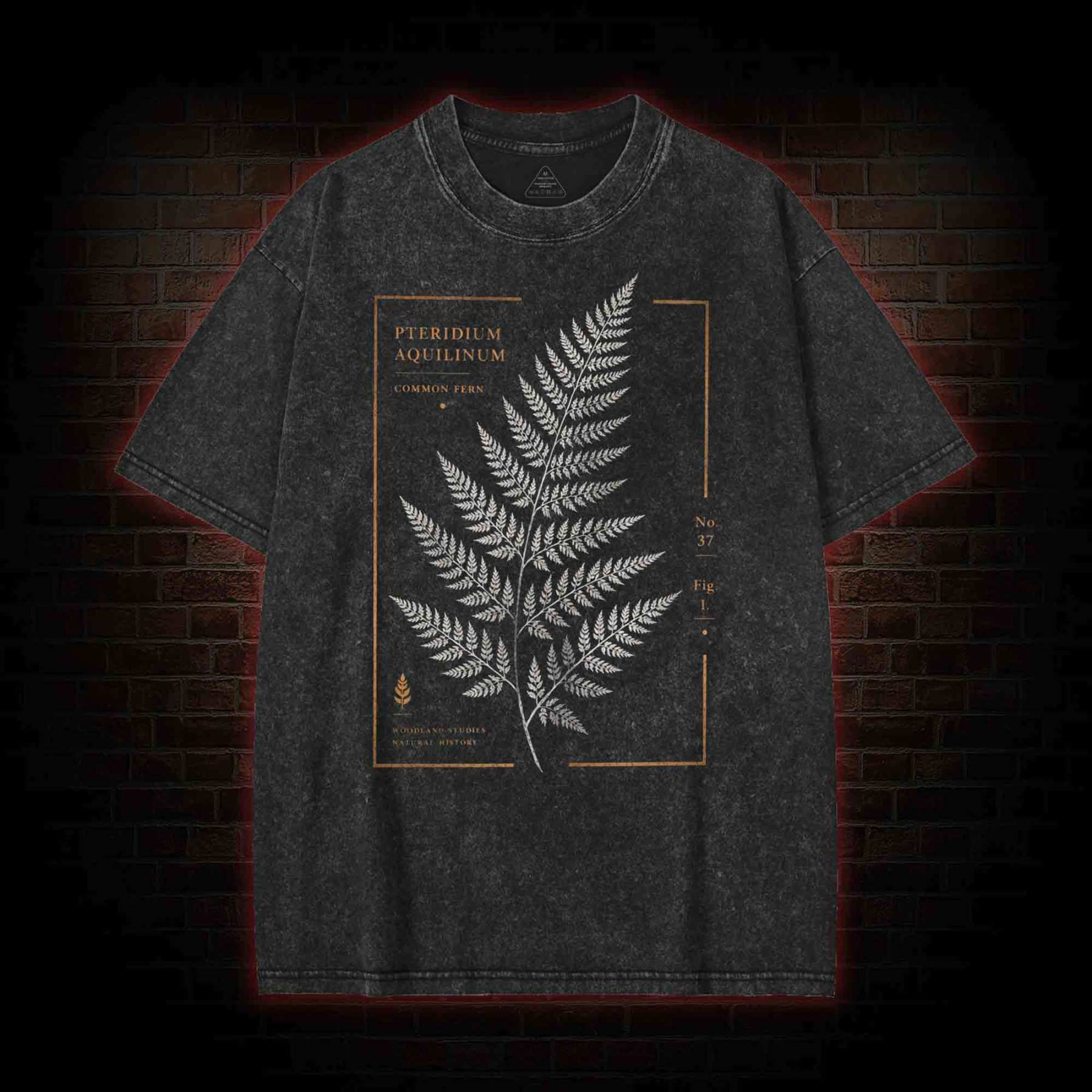 Common Fern Washed T-shirt