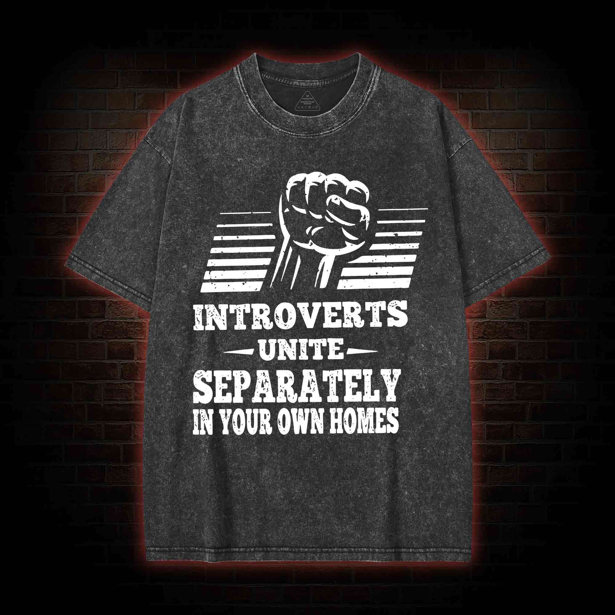 Introverts Unite Separately In Your Own Homes Washed T-shirt