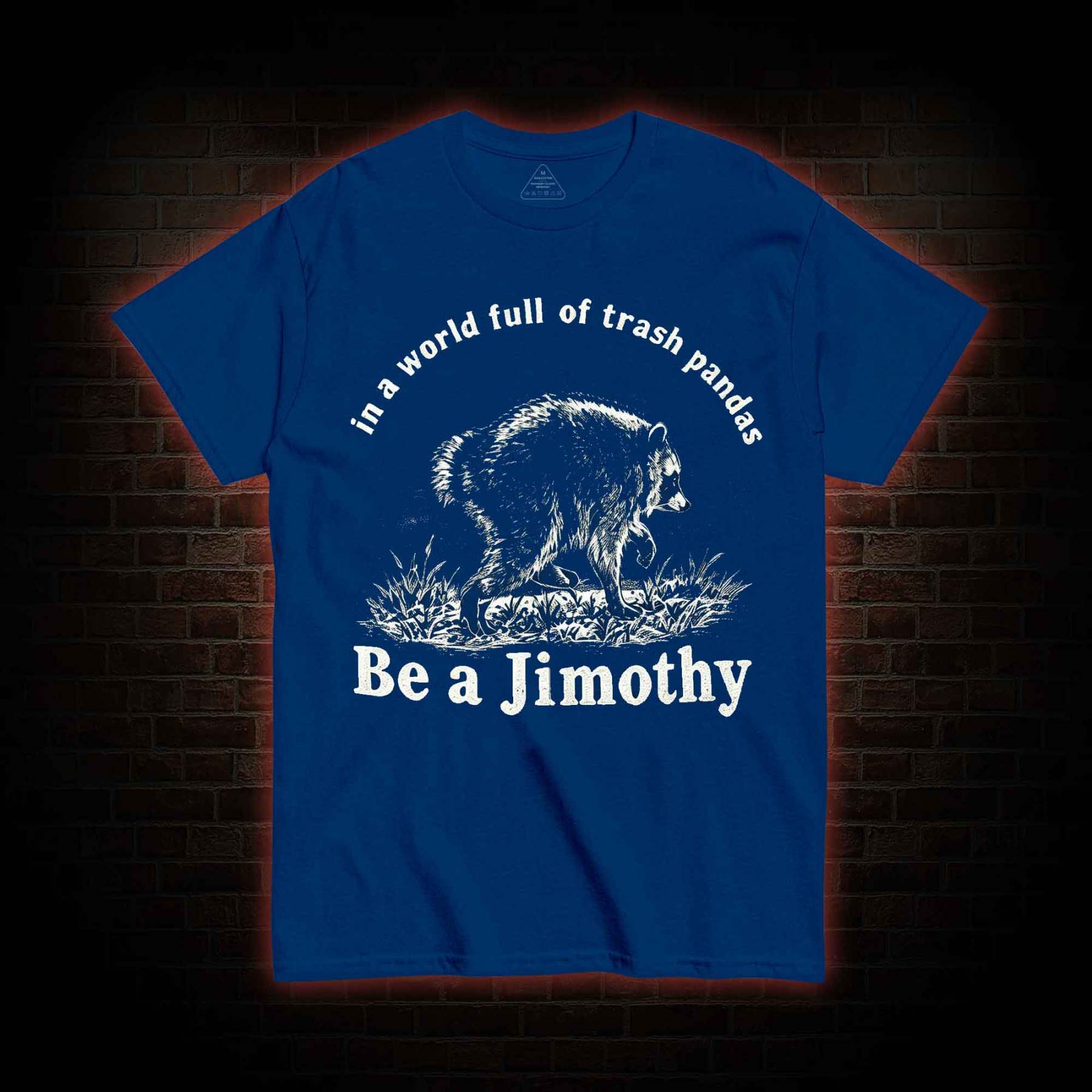 Be A Jimothy Raccoon T-shirt