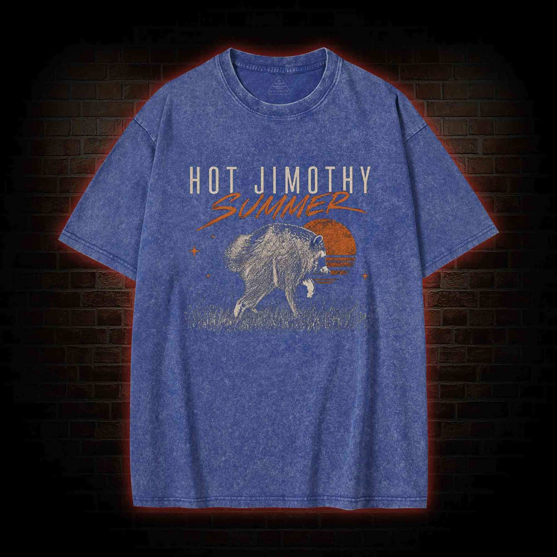 Jimothy Summer Raccoon Meme Washed T-shirt