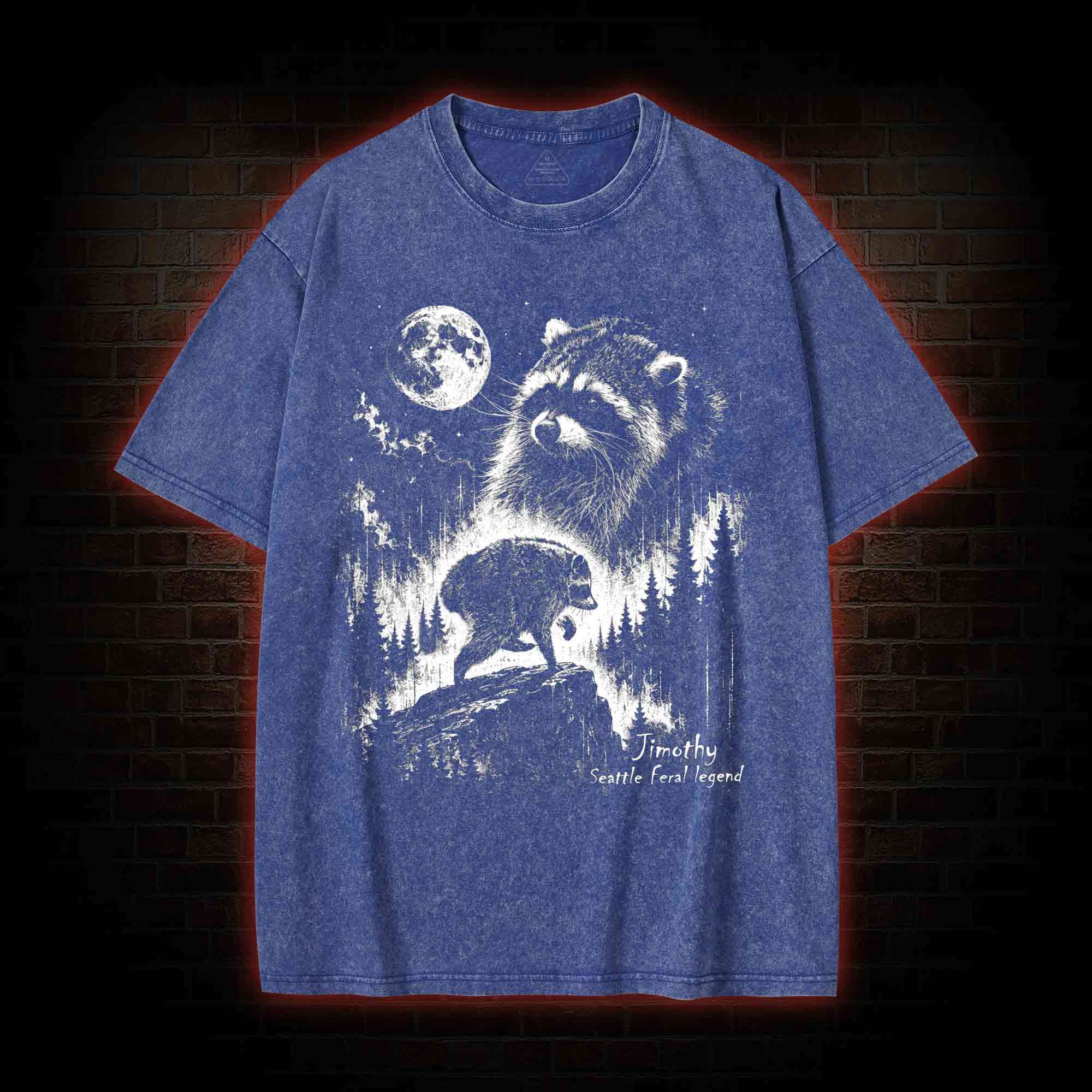 Vintage Jimothy Raccoon Washed T-shirt