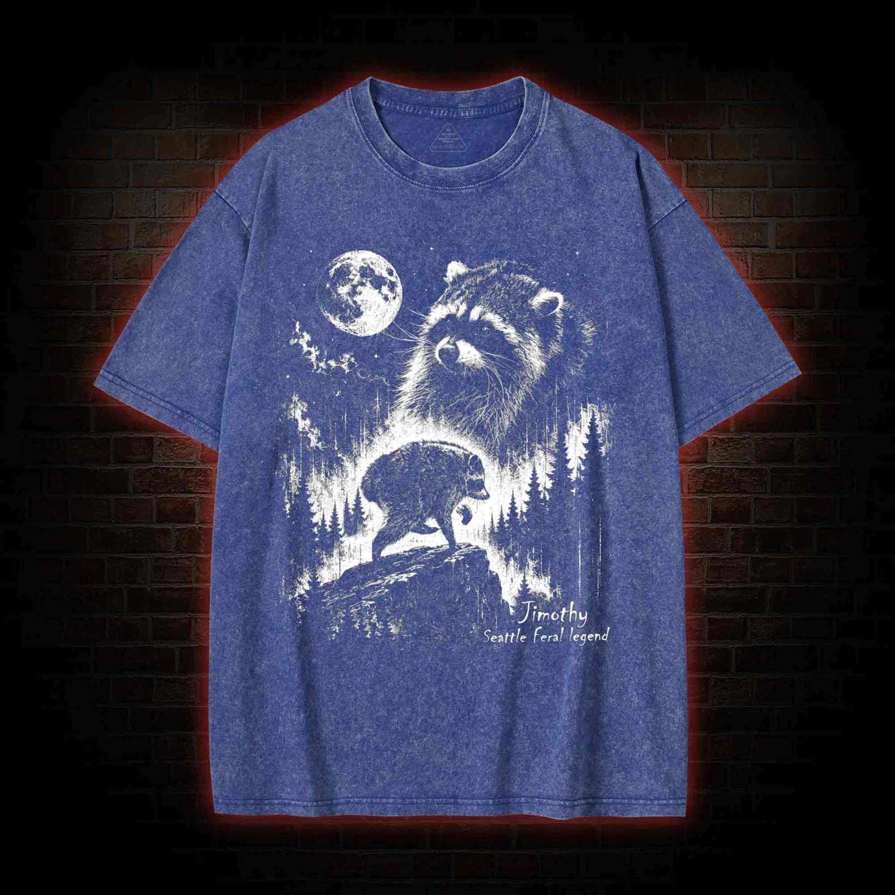 Vintage Jimothy Raccoon Washed T-shirt