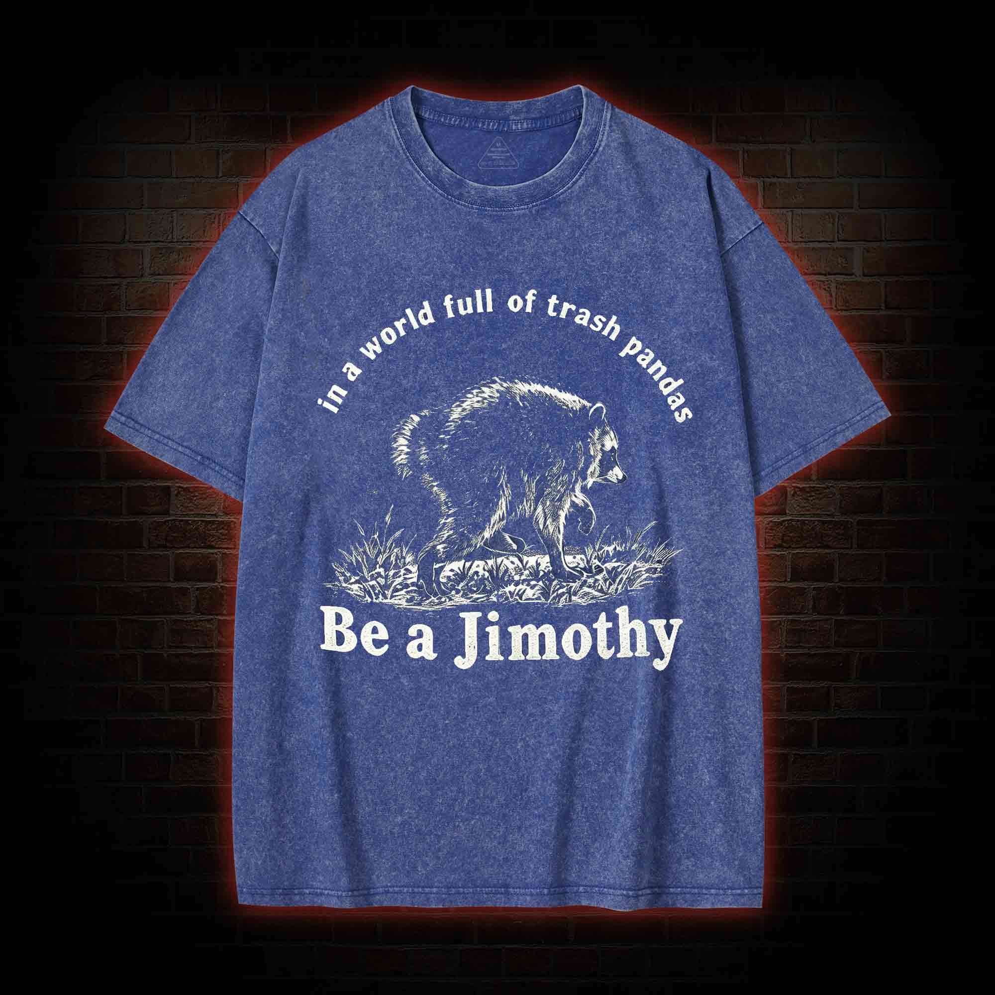 Be A Jimothy Raccoon Washed T-shirt