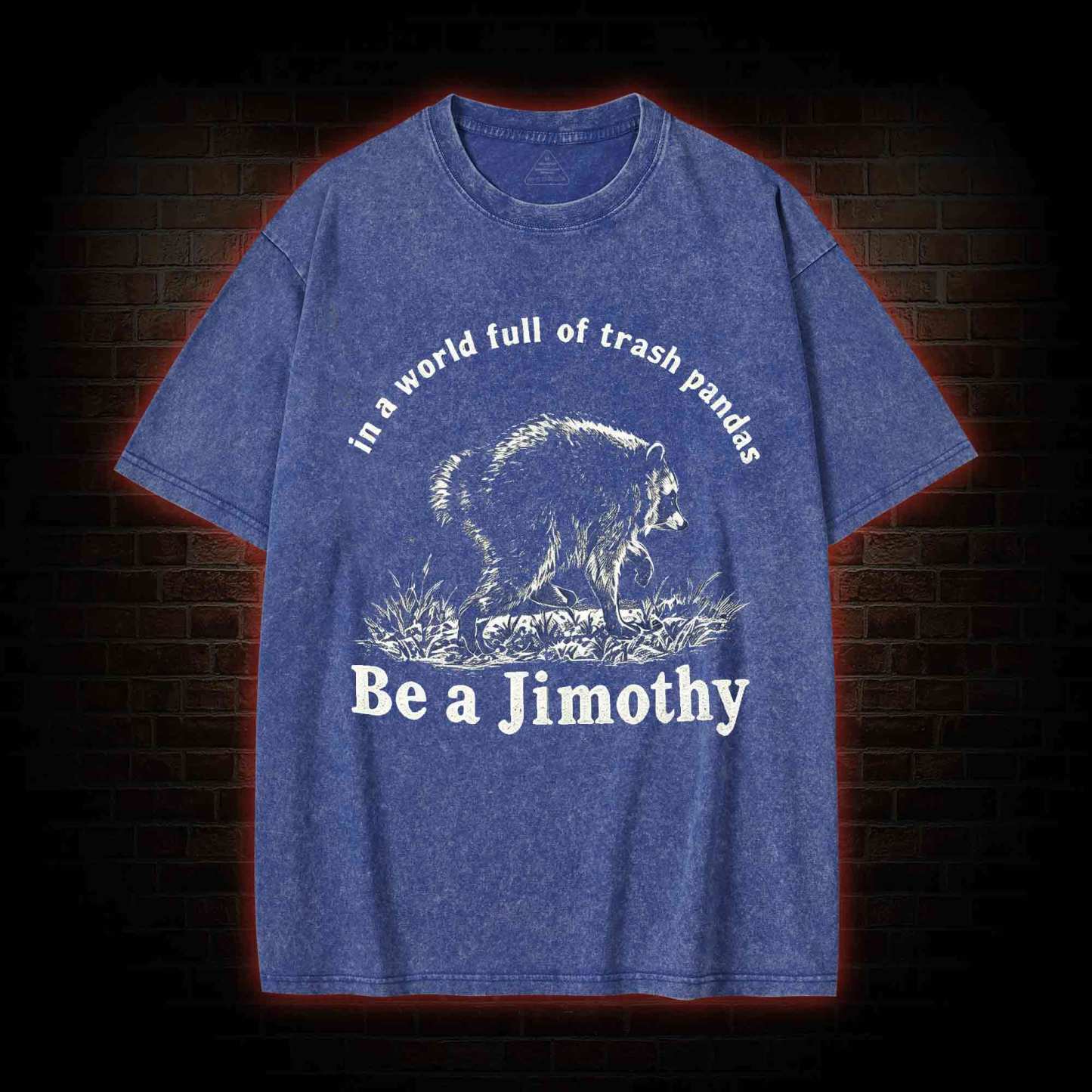 Be A Jimothy Raccoon Washed T-shirt