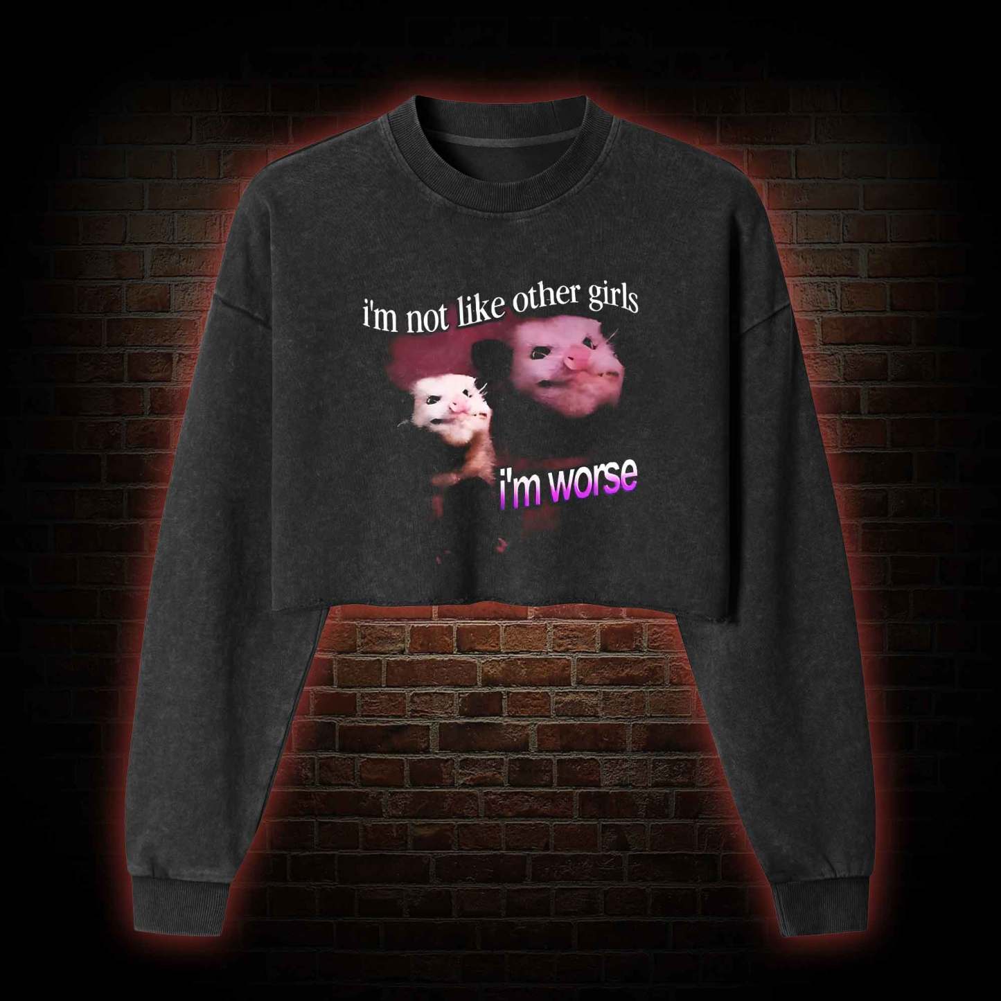 I'm Not Like Other Girls I'm Washed Cropped Sweatshirts