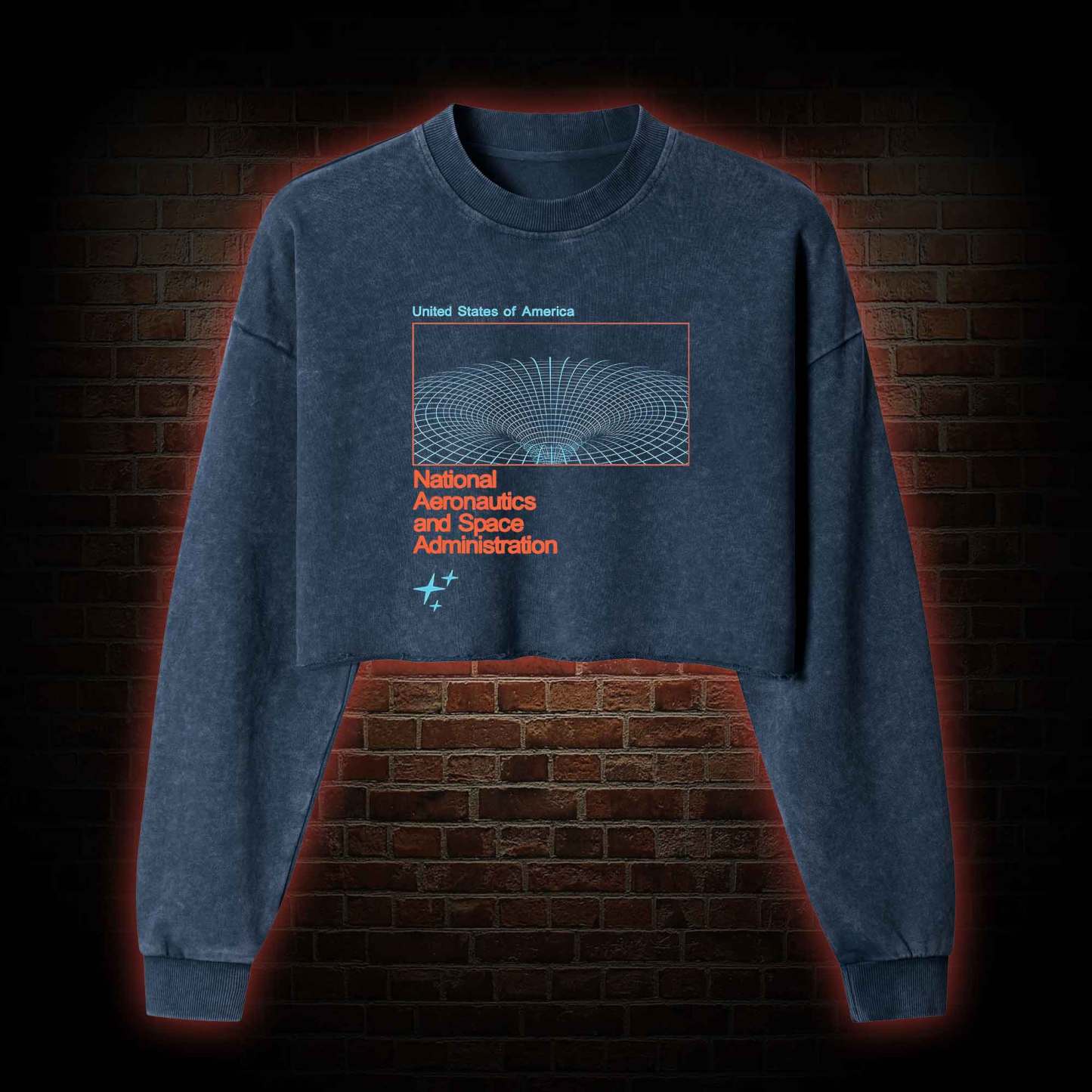 Wormhole Washed Cropped Sweatshirts
