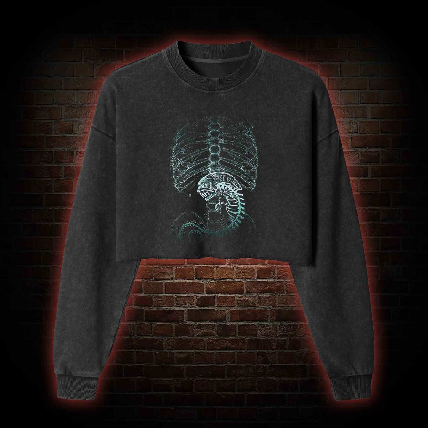 A Perfect Organism Washed Cropped Sweatshirts