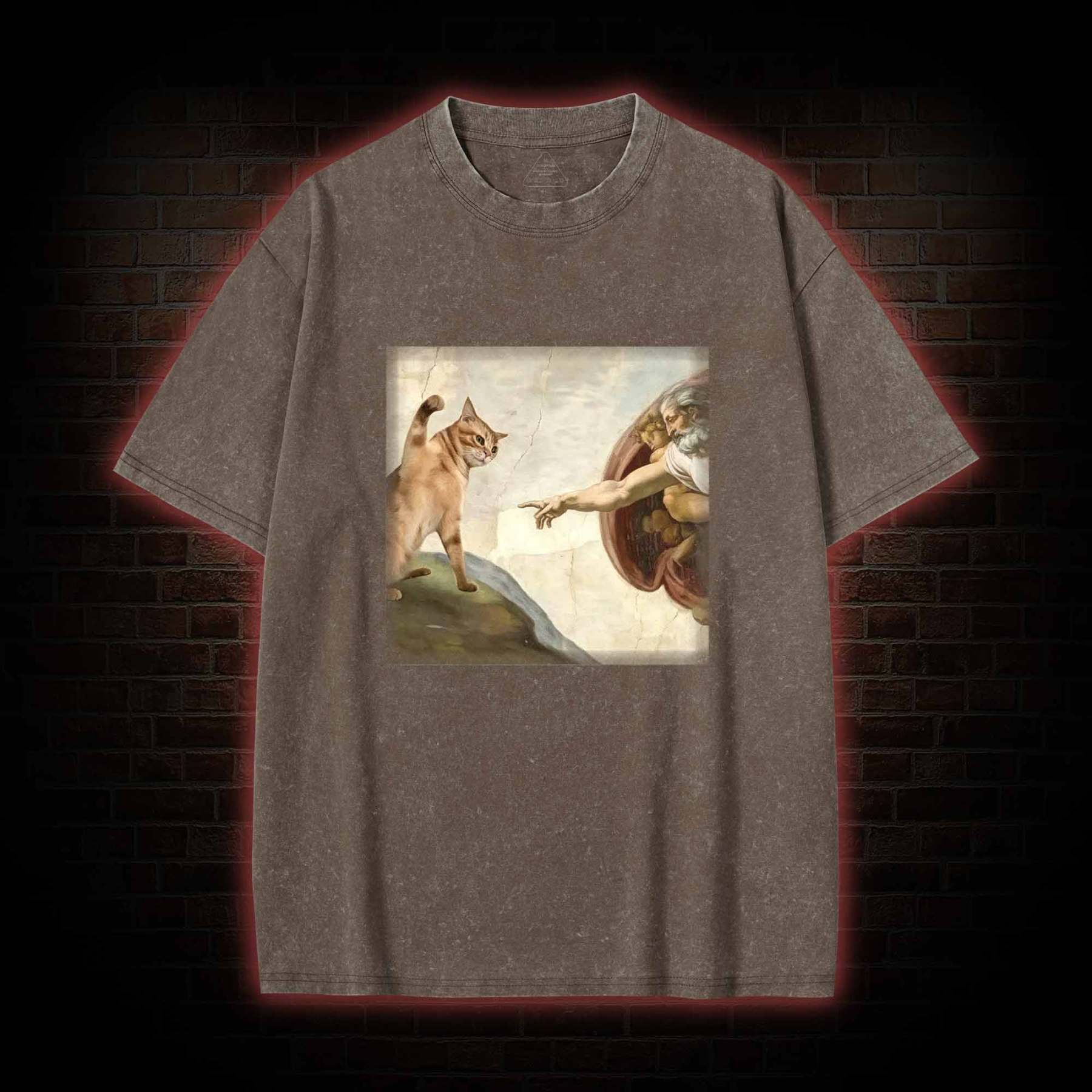 Cat God Creation of Adam Washed T-shirt