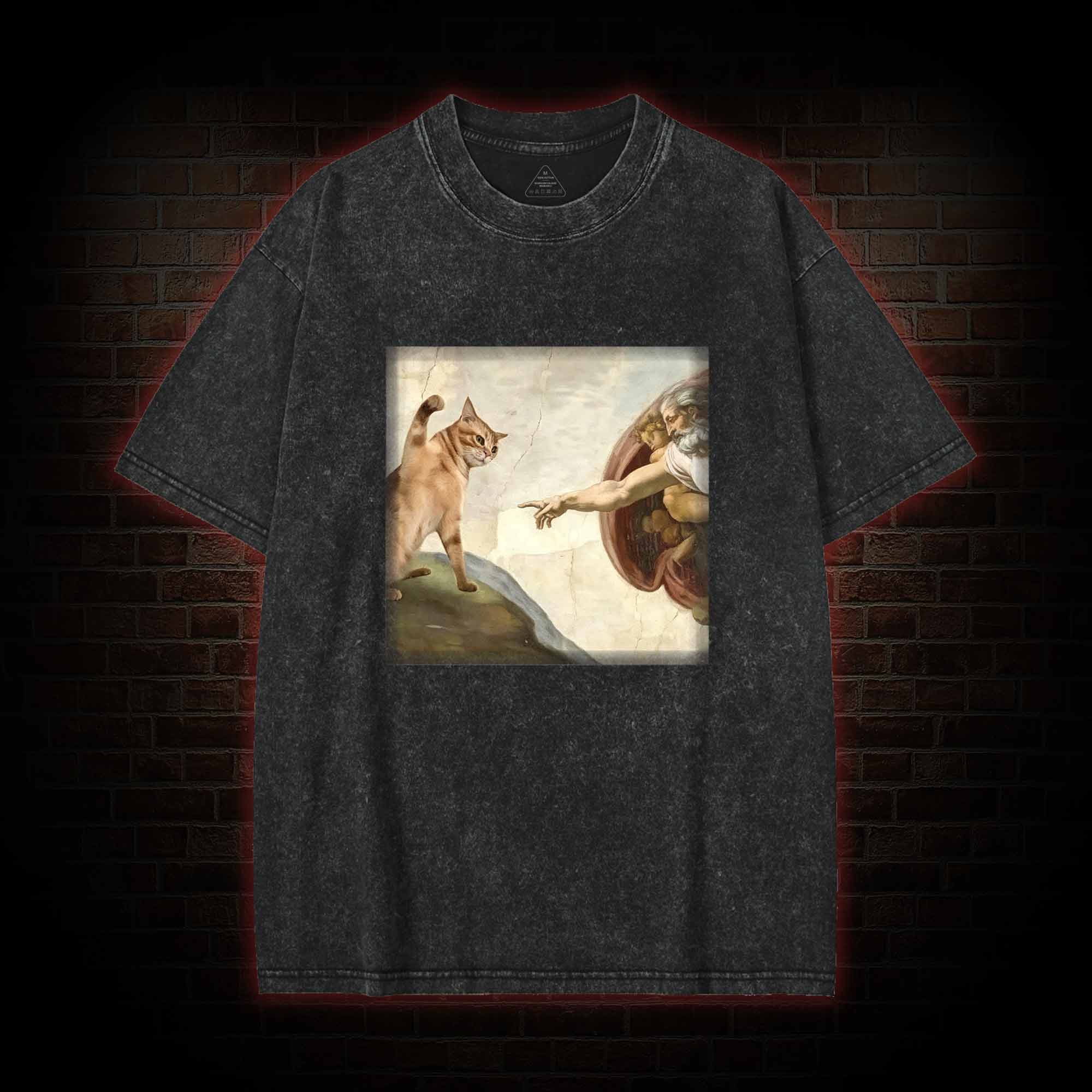 Cat God Creation of Adam Washed T-shirt