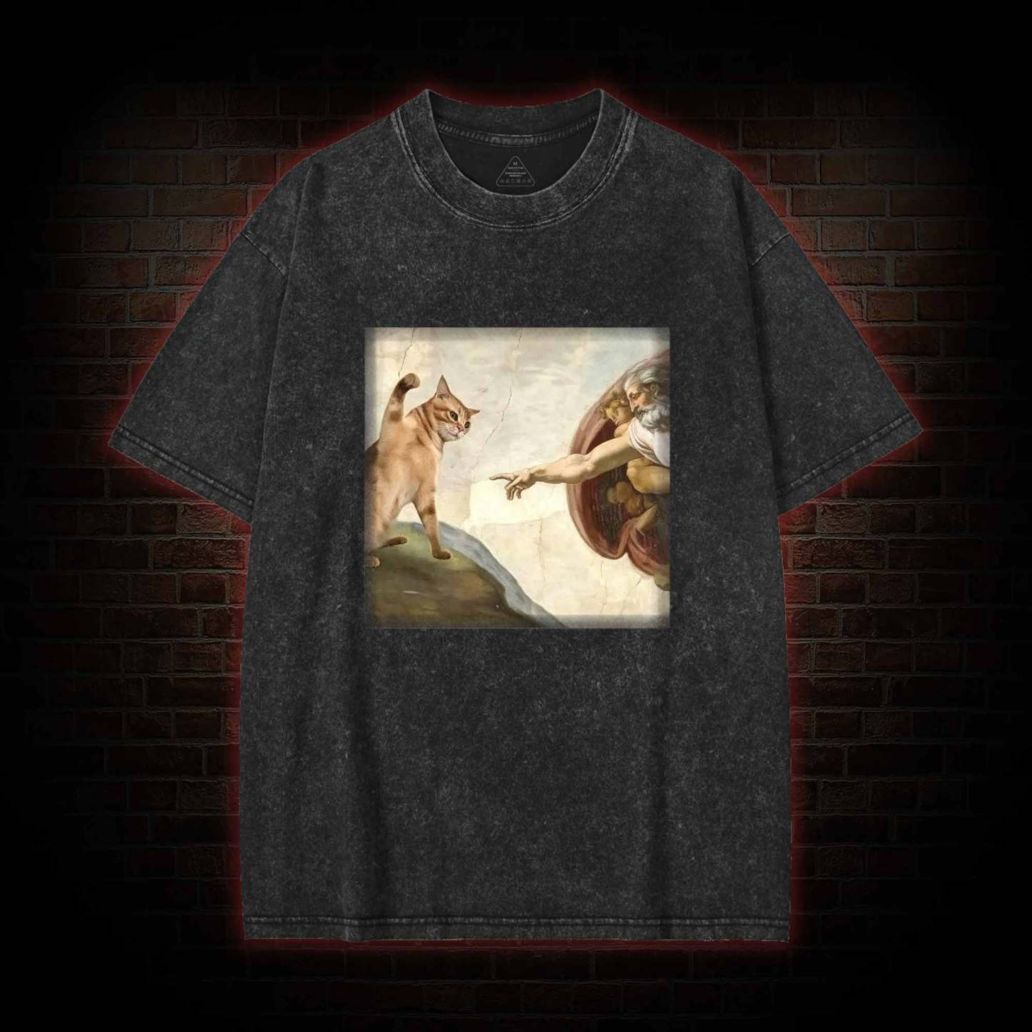 Cat God Creation of Adam Washed T-shirt
