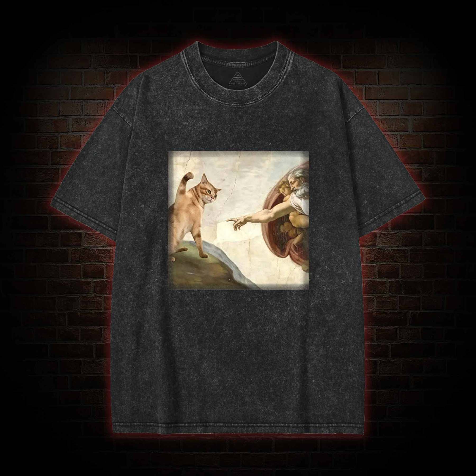 Cat God Creation of Adam Washed T-shirt