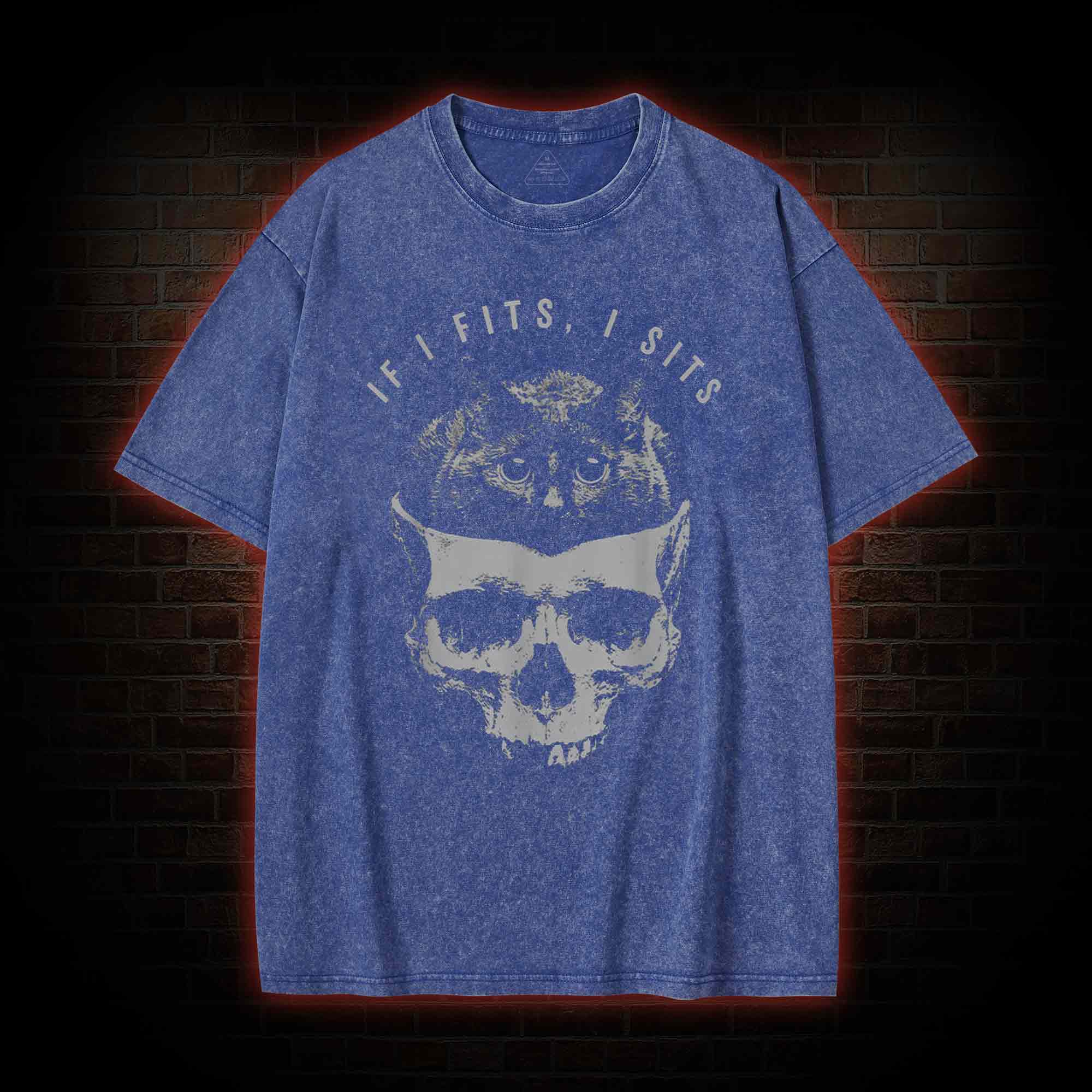 If I Fits I Sits Washed T-shirt