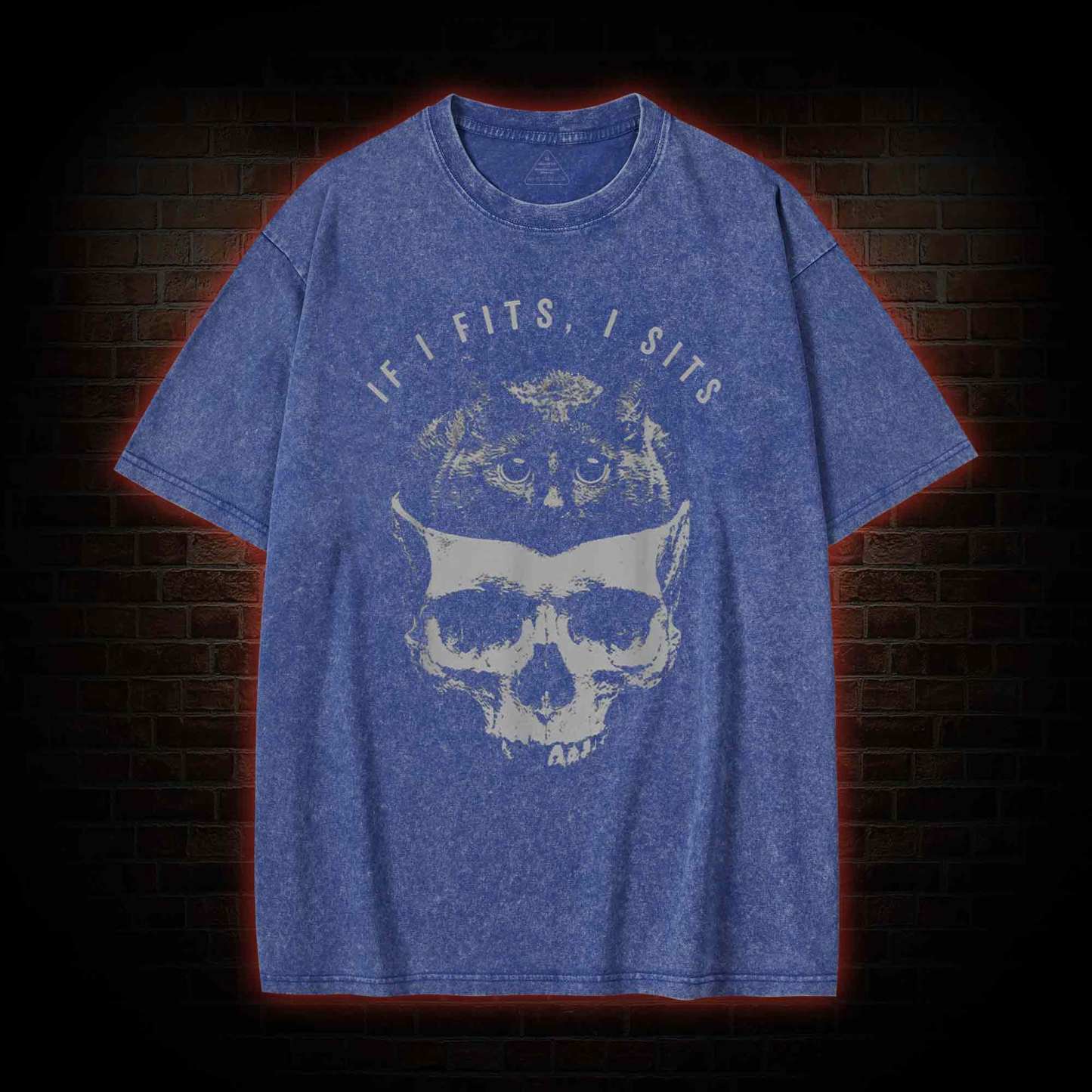 If I Fits I Sits Washed T-shirt